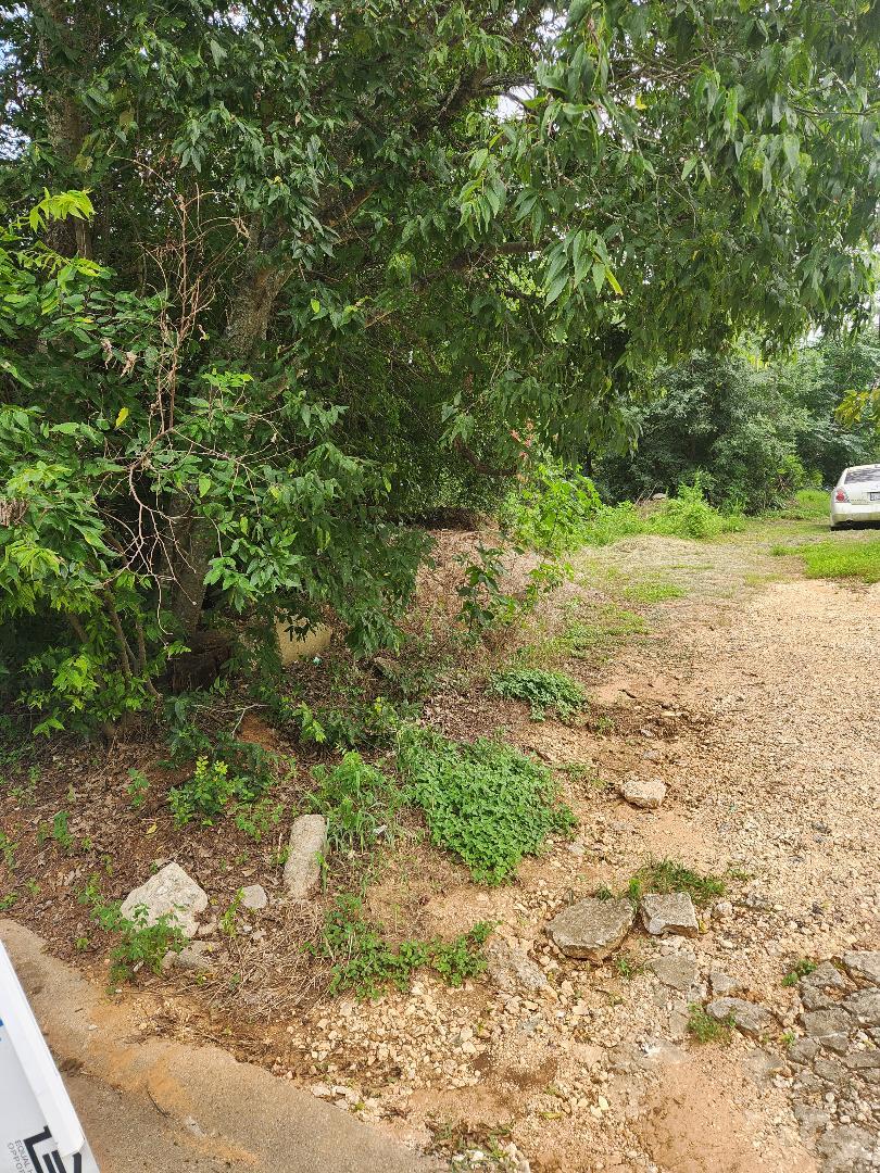 135 Jackson St, Elgin, TX 78621