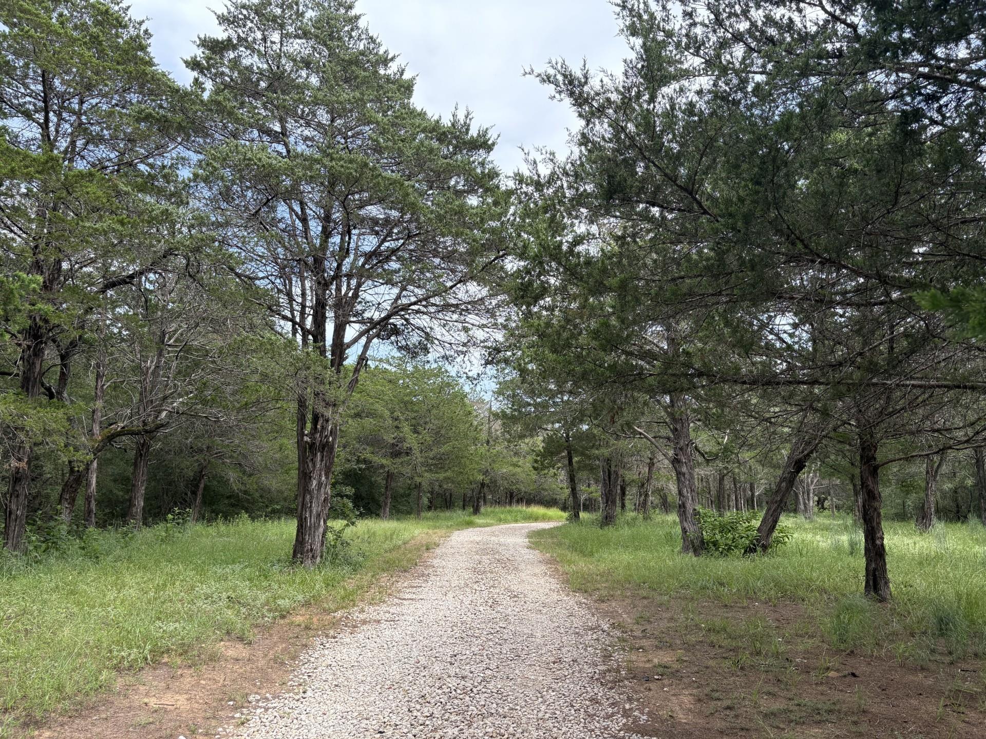 596 Herron Trl, McDade, TX 78650