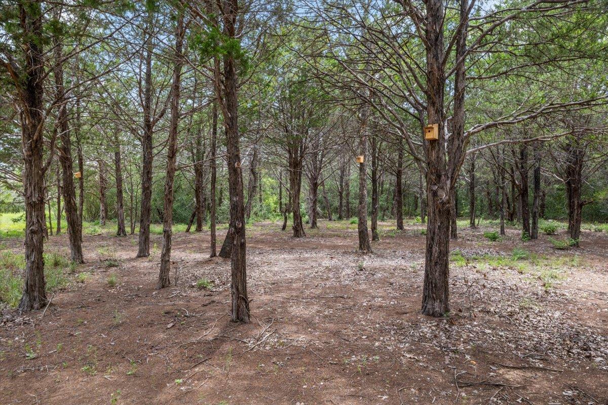 596 Herron Trl, McDade, TX 78650