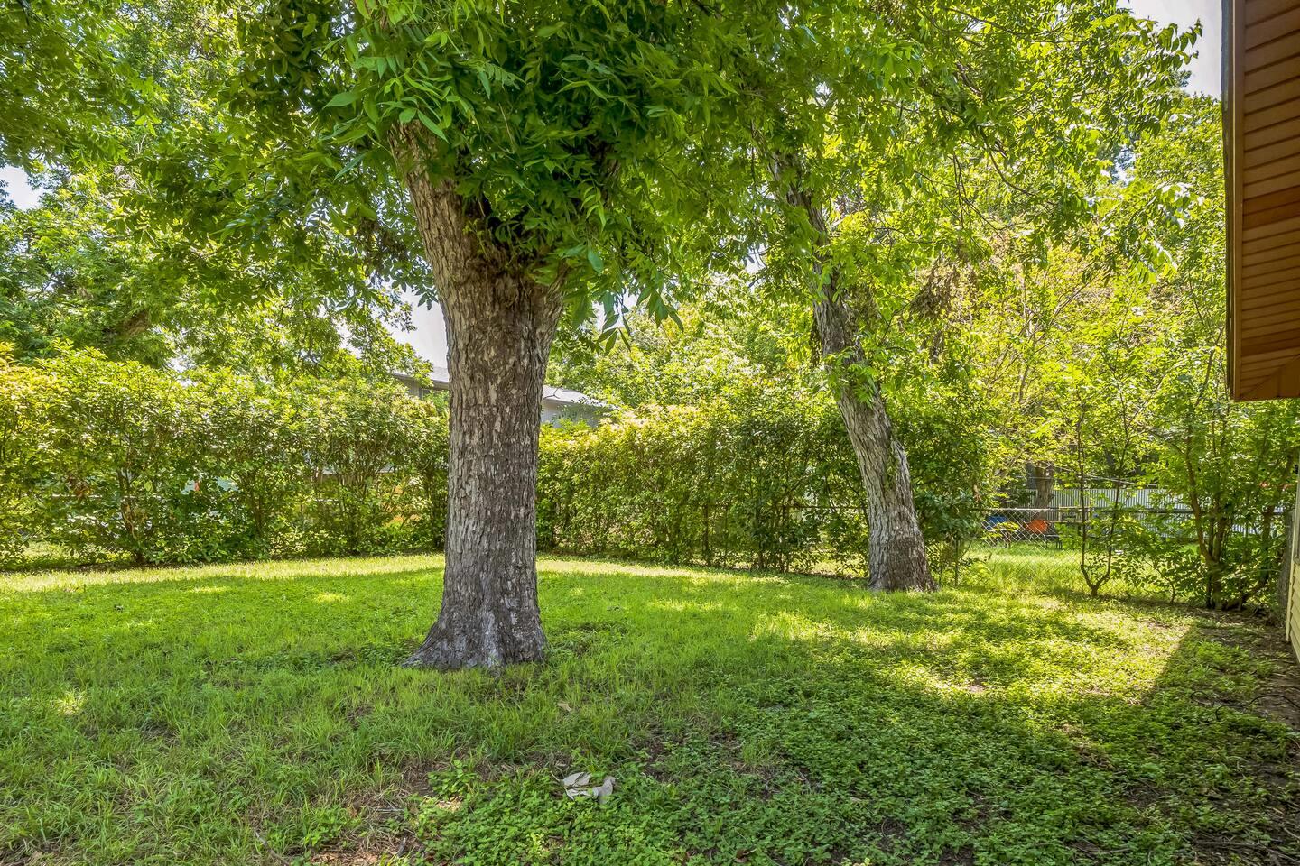 3206 Goodwin Ave, Austin, TX 78702