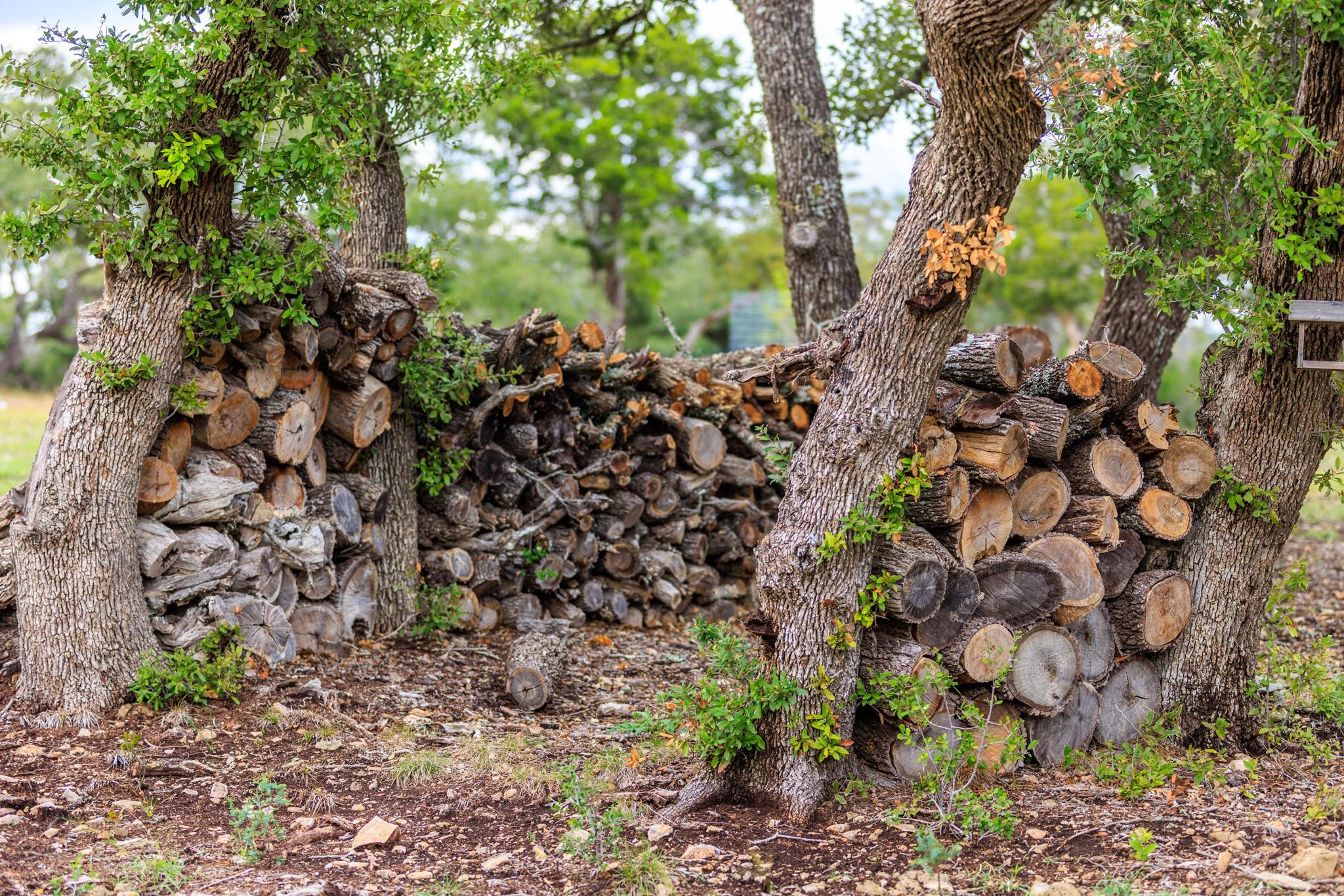 456 Colt Valley Rd, Fredericksburg, TX 78624