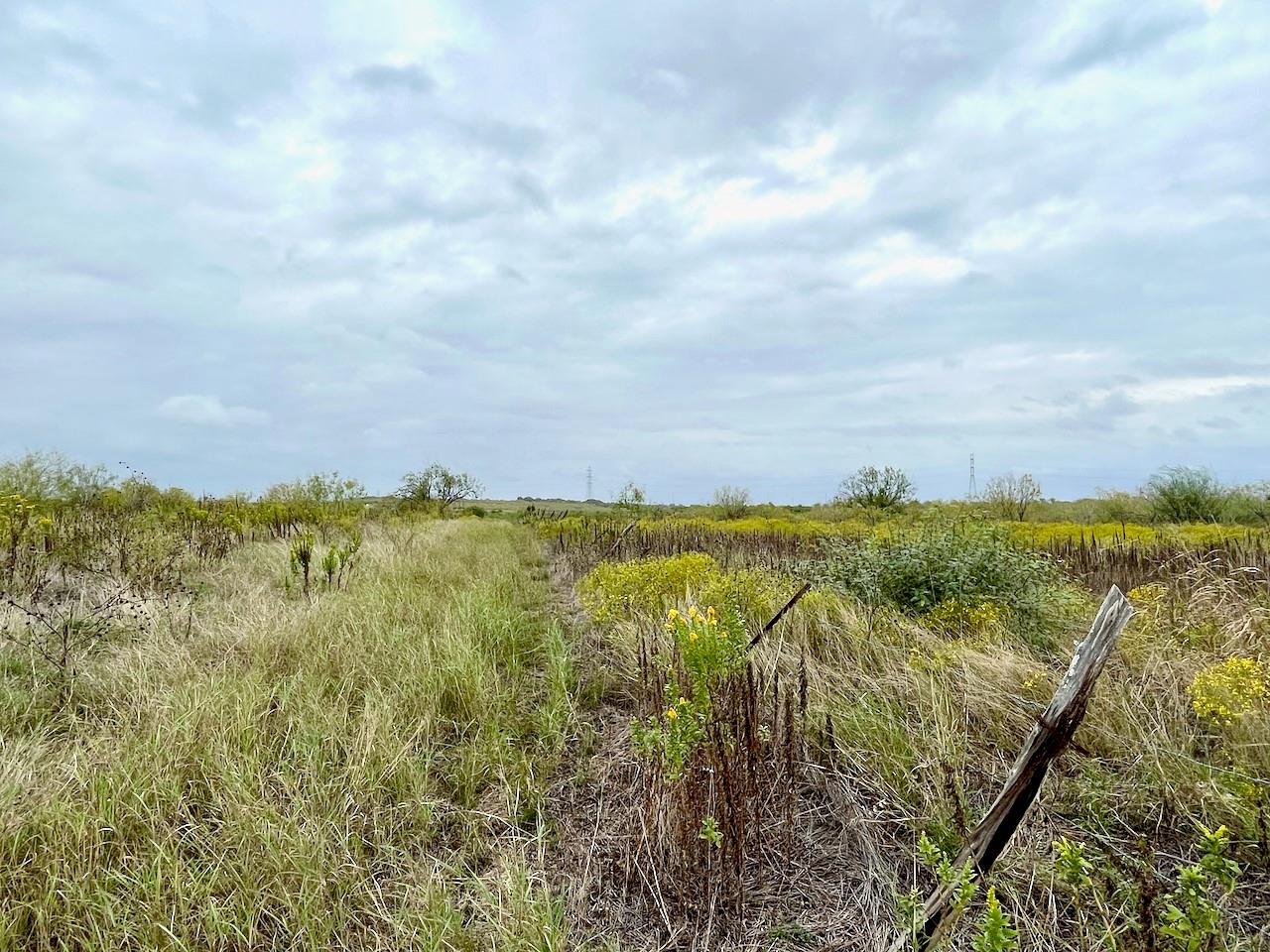 11604 Moore Rd, Austin, TX 78719