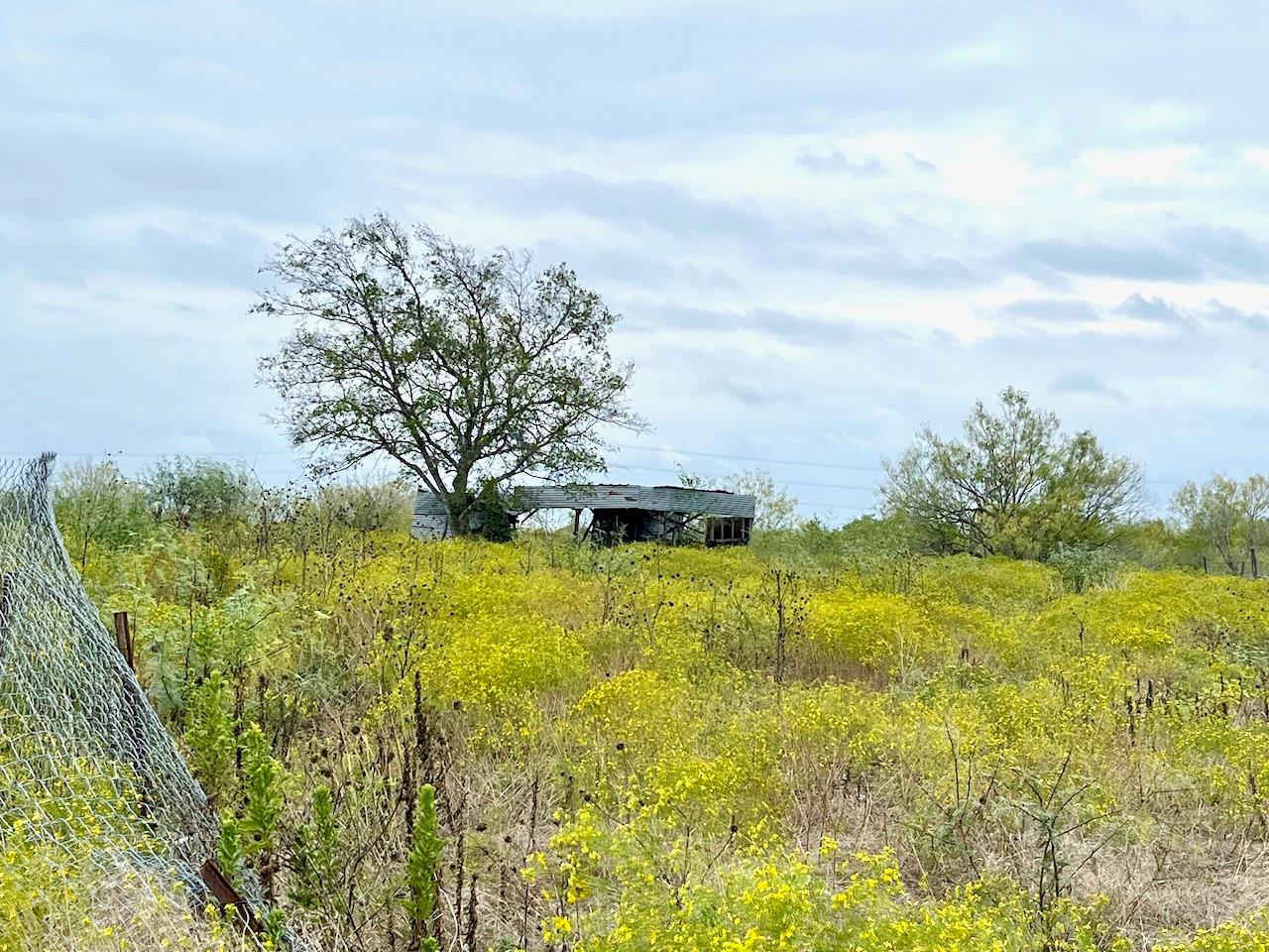 11604 Moore Rd, Austin, TX 78719
