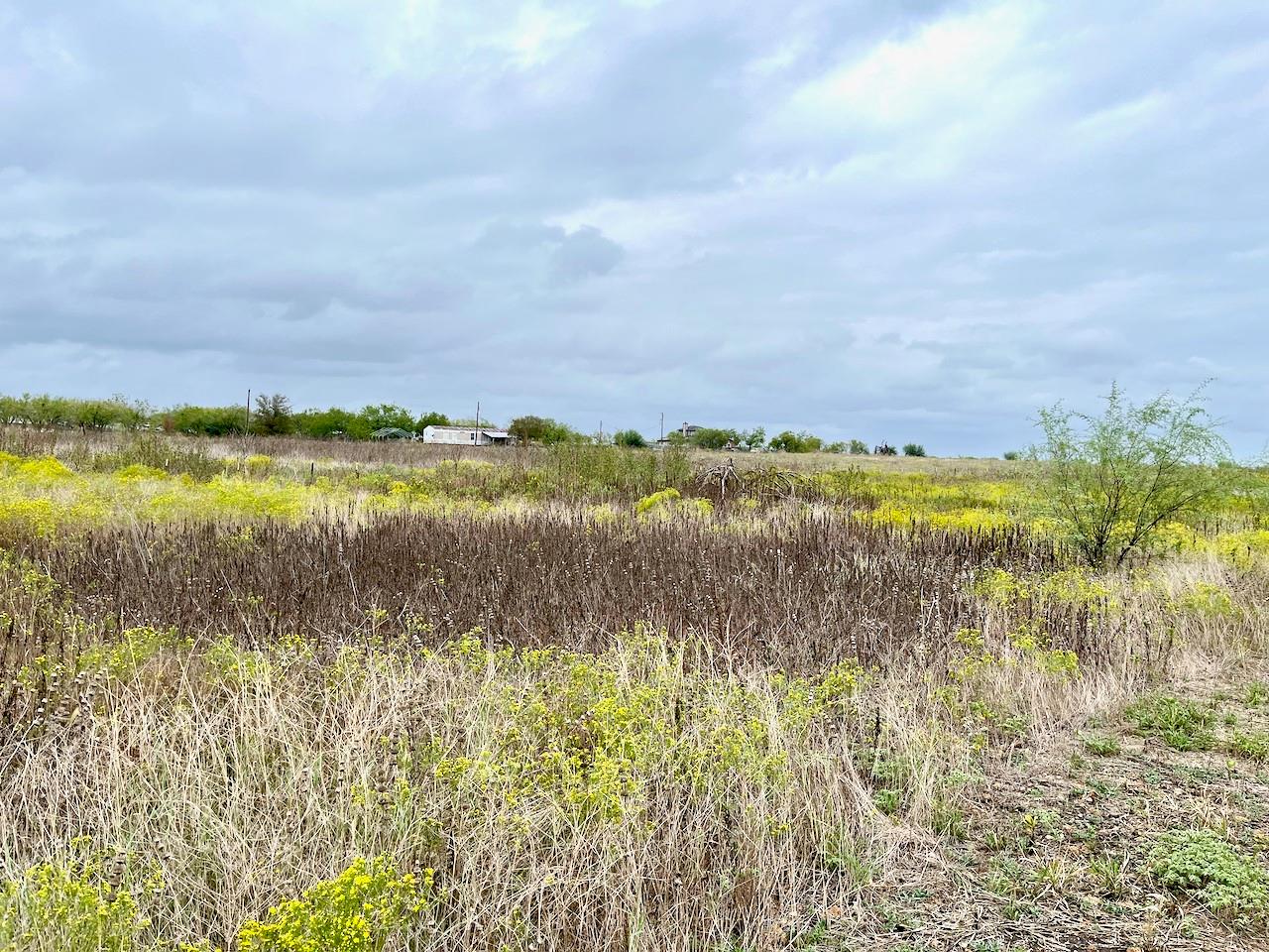 11604 Moore Rd, Austin, TX 78719