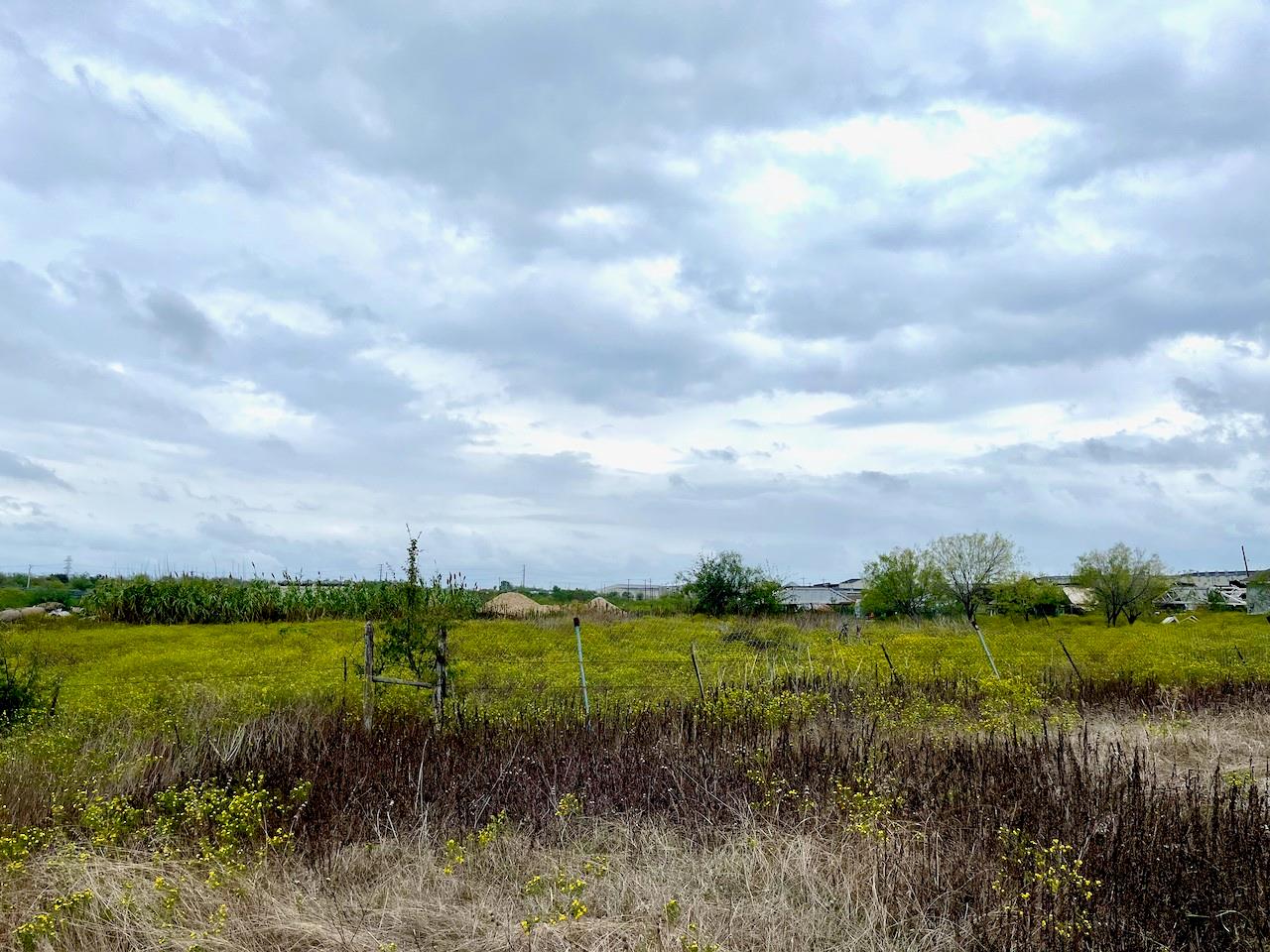 11604 Moore Rd, Austin, TX 78719