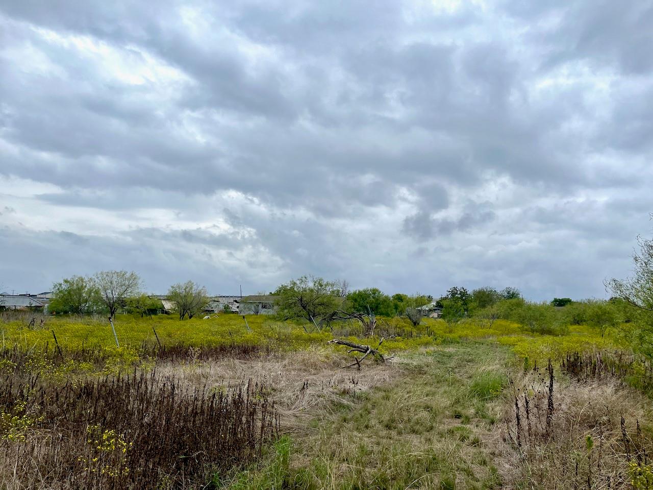 11604 Moore Rd, Austin, TX 78719