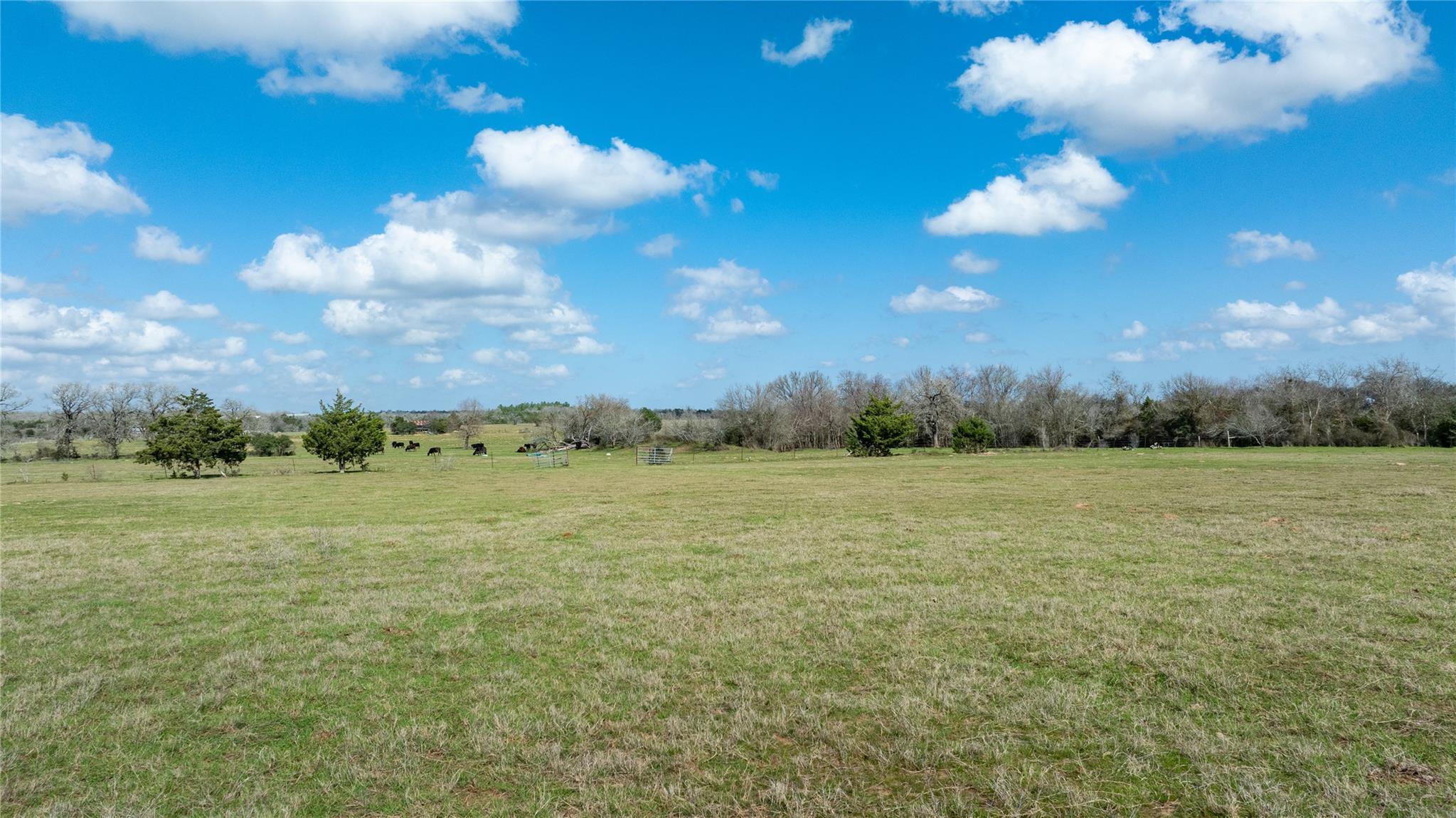 Lot 7 Mule Creek Rd, Harwood, TX 78629