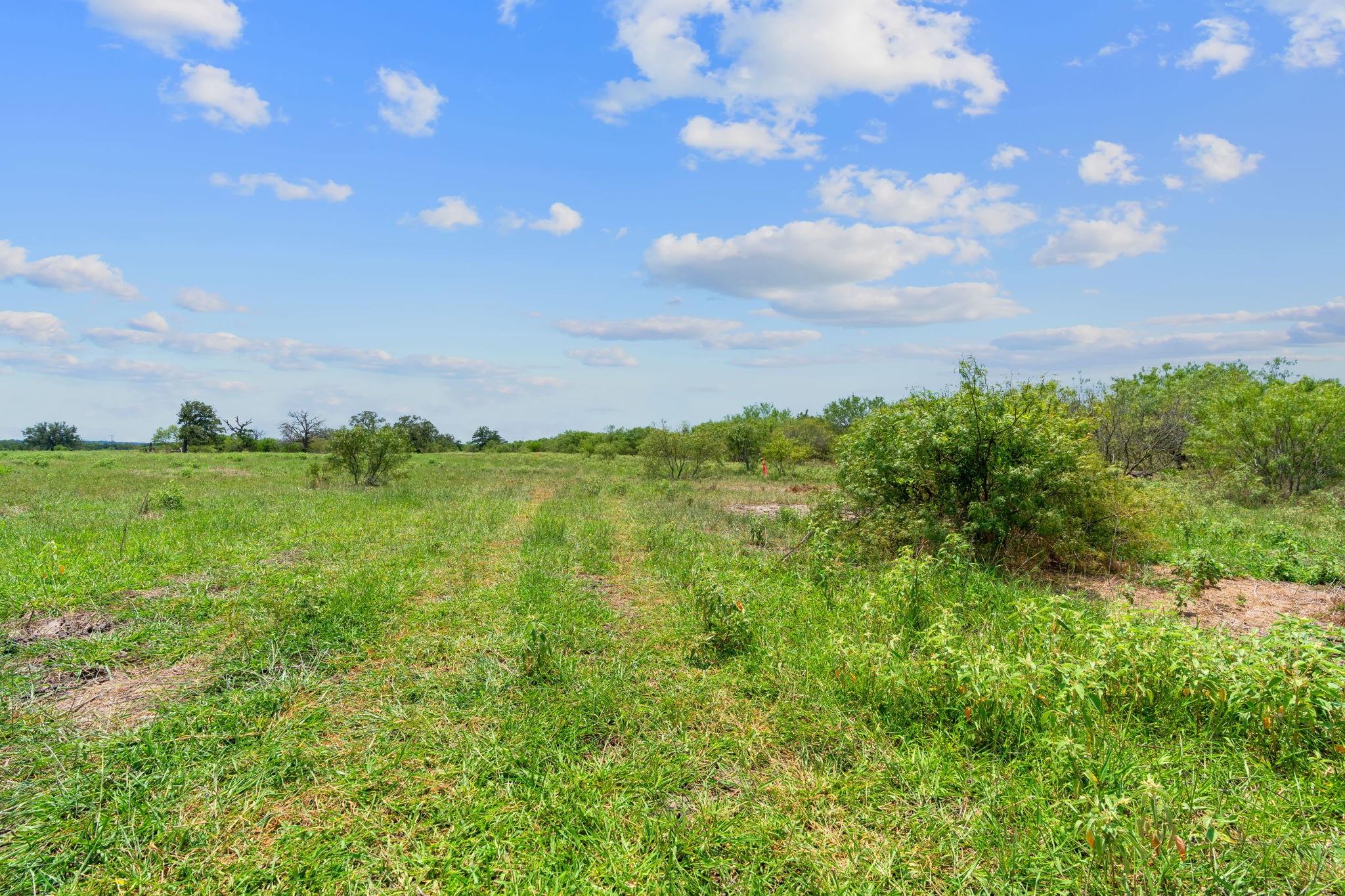 Lot 22 County Road 402, Flatonia, TX 78632