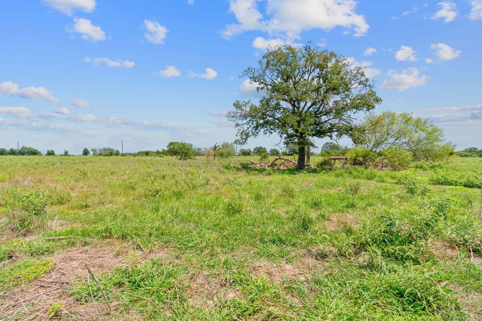Lot 22 County Road 402, Flatonia, TX 78632