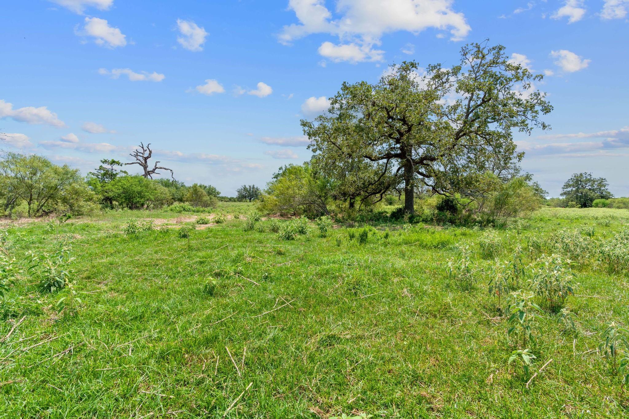 Lot 18 County Road 402, Flatonia, TX 78632