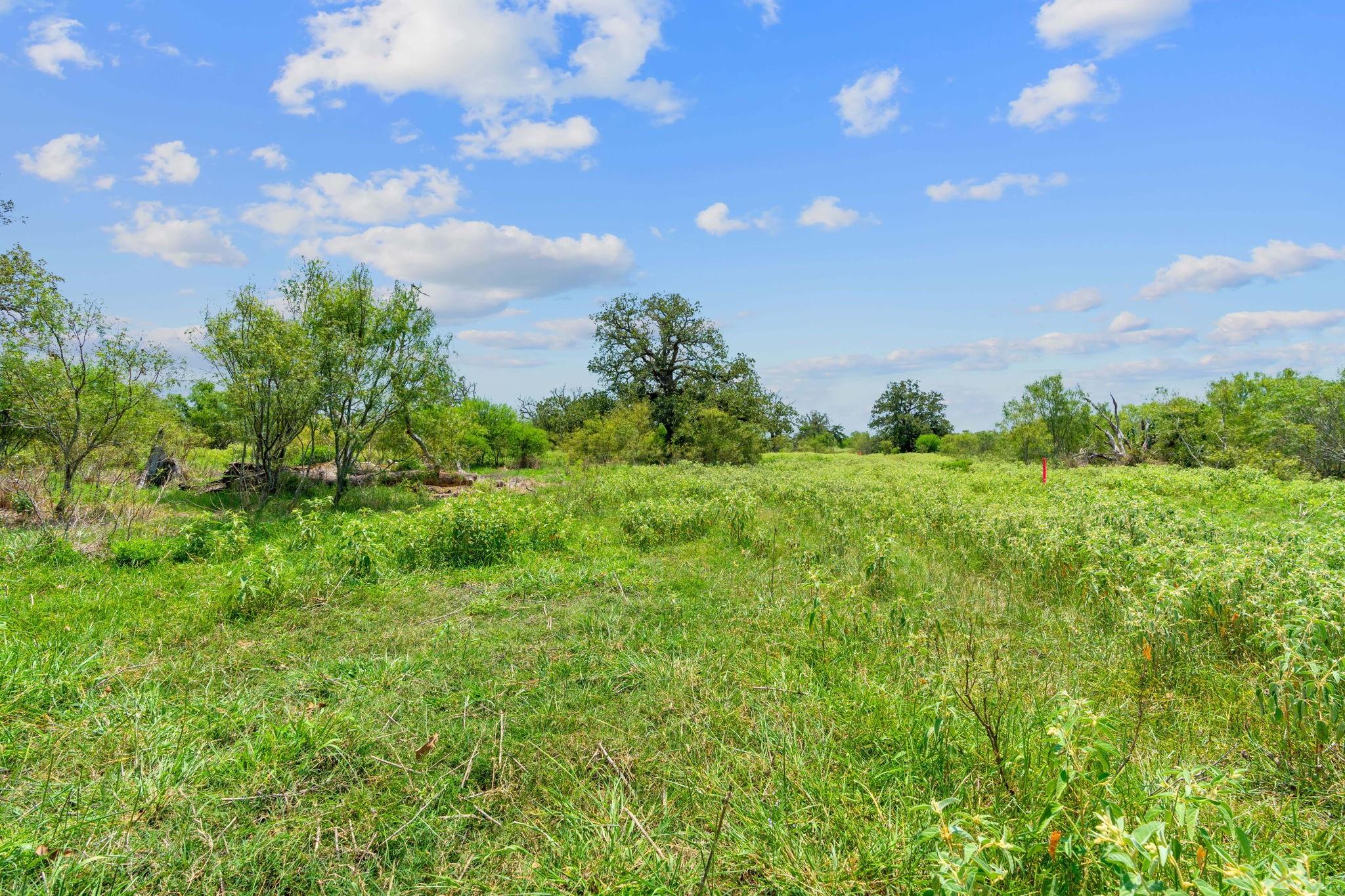 Lot 18 County Road 402, Flatonia, TX 78632