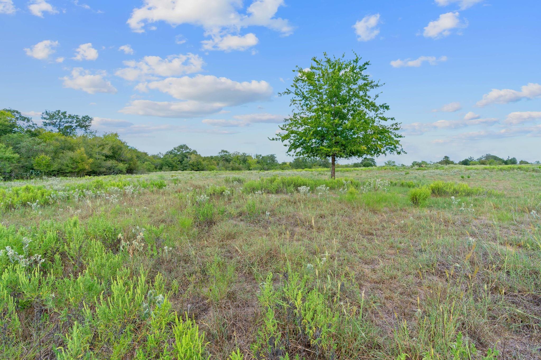 Lot 4 Private Road 4511 Rd, Waelder, TX 78959