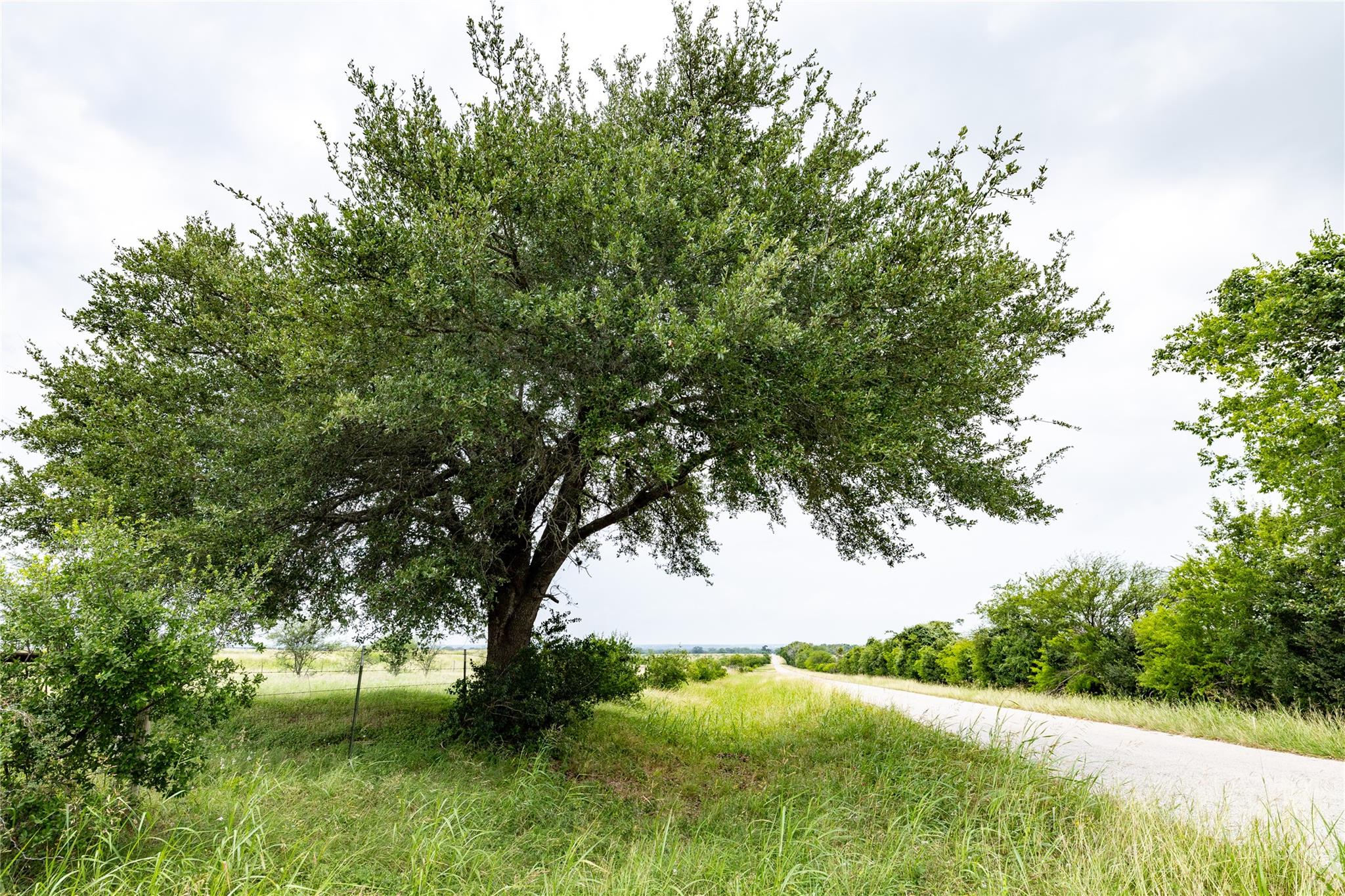 Lot 3 Concrete Edgar Rd, Cuero, TX 77954