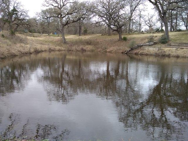 243 Piney Ridge Dr, Bastrop, TX 78602