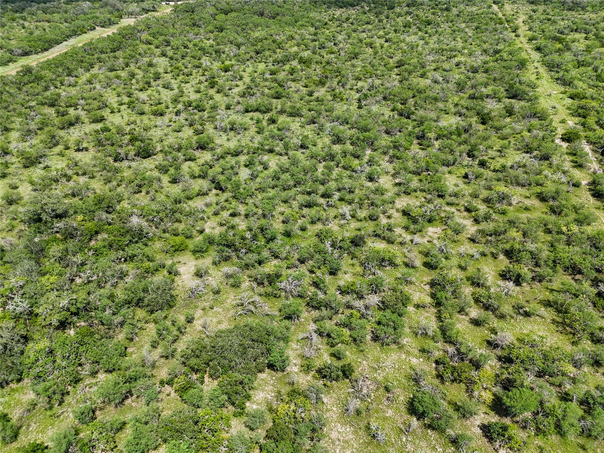 TBD County Road 211, Smiley, TX 78159