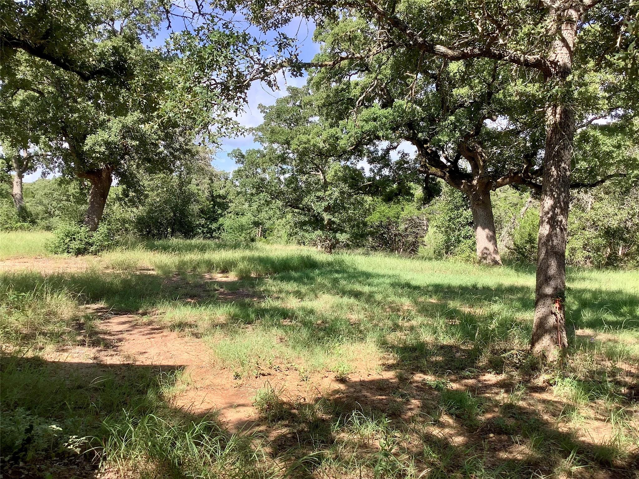 910 Antioch Rd, Paige, TX 78659