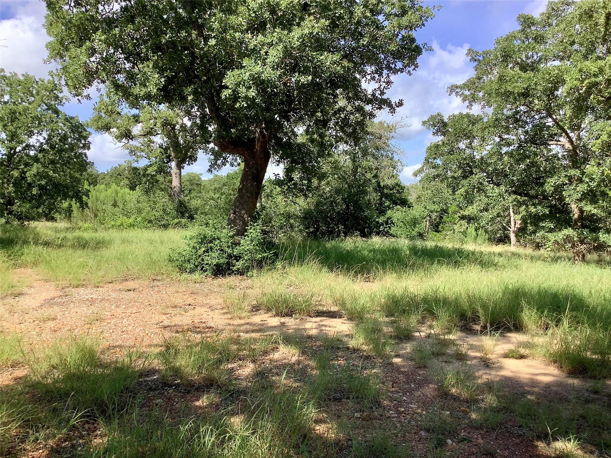 910 Antioch Rd, Paige, TX 78659