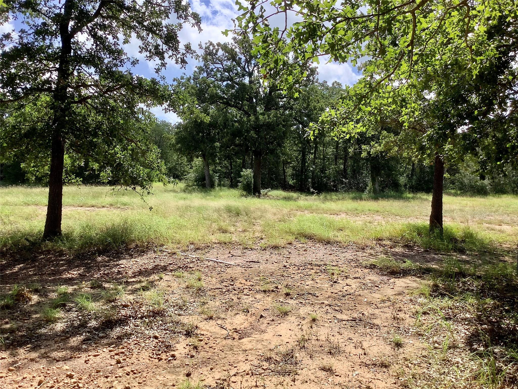 910 Antioch Rd, Paige, TX 78659