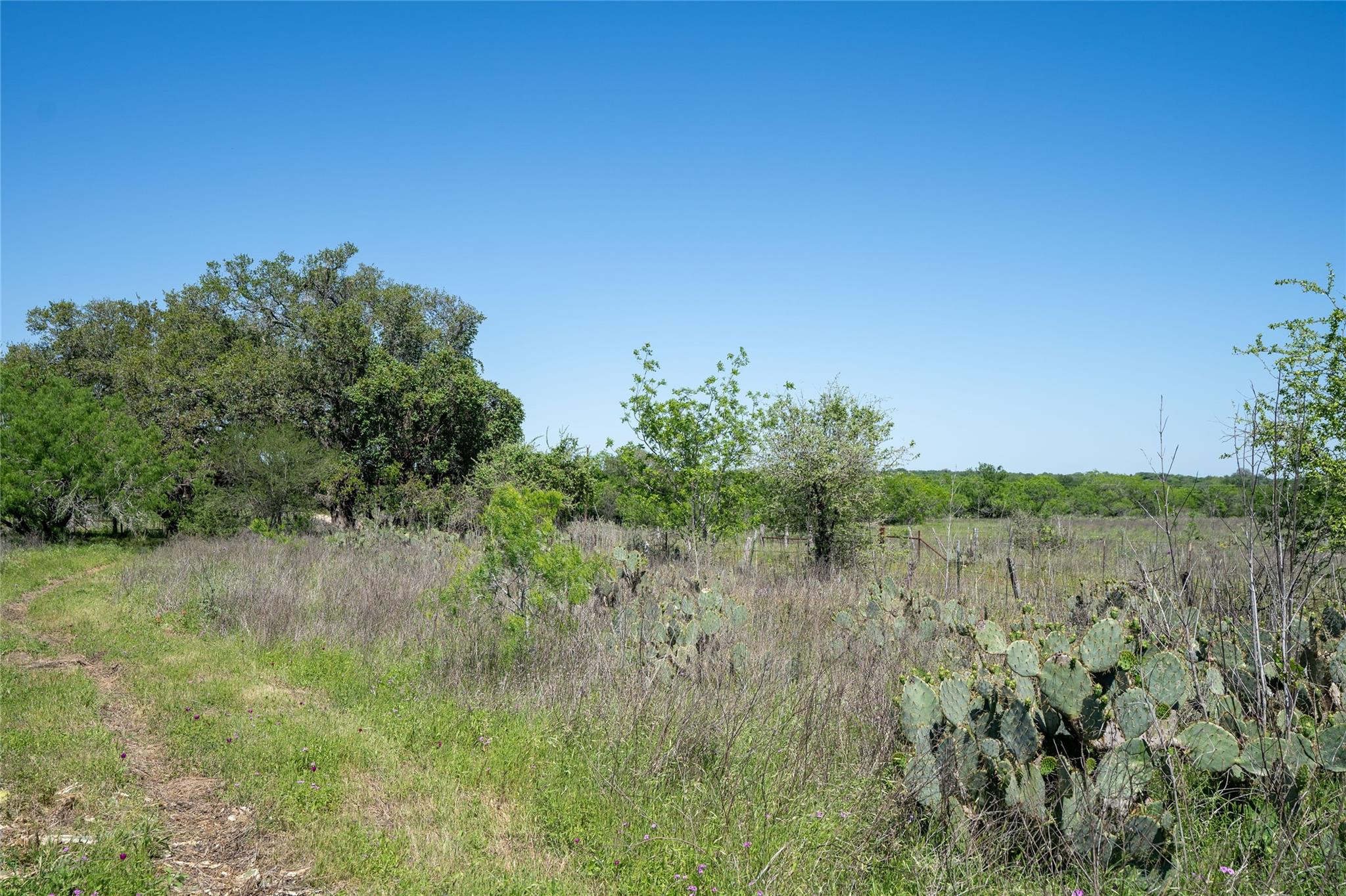 TBD County Rd 171 Rd, Nixon, TX 78140