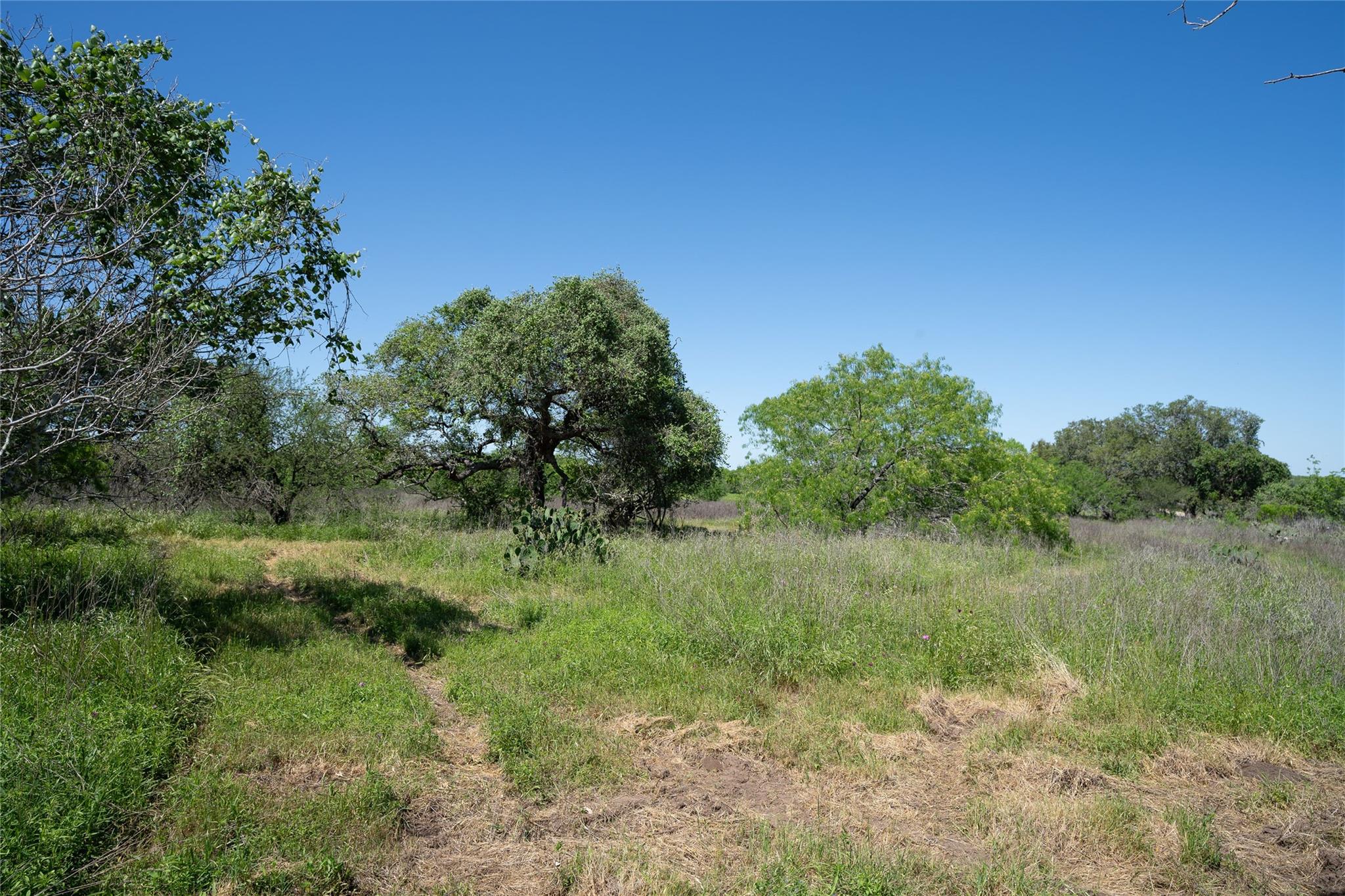 TBD County Rd 171 Rd, Nixon, TX 78140