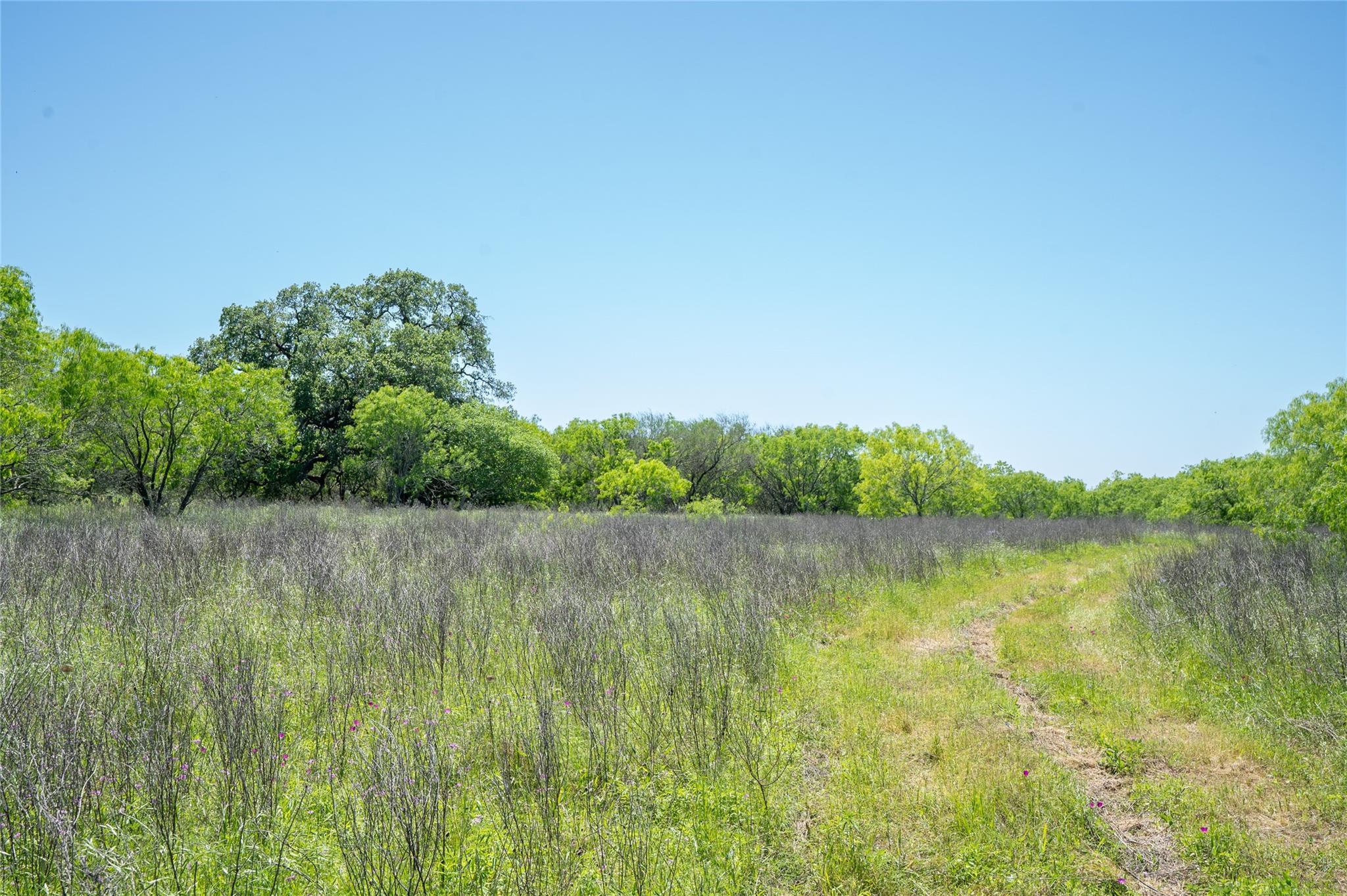 TBD County Rd 171 Rd, Nixon, TX 78140