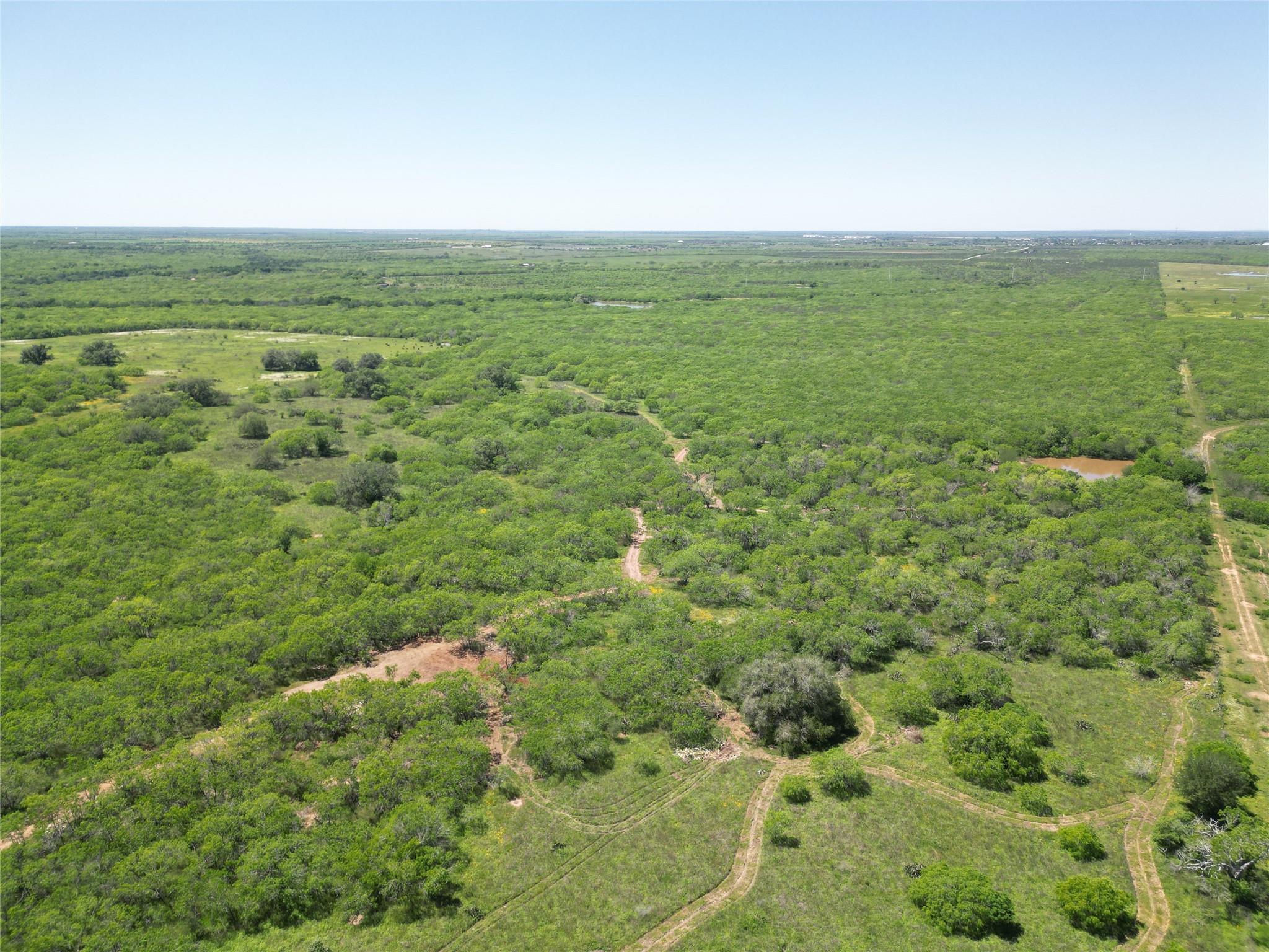TBD County Rd 171 Rd, Nixon, TX 78140