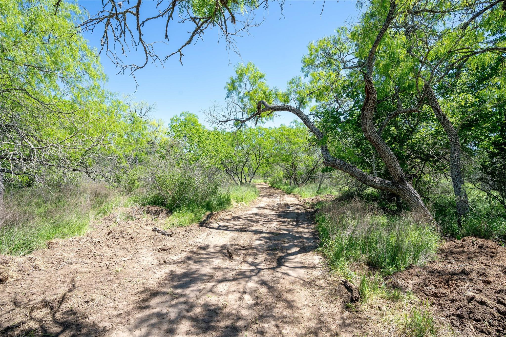 TBD County Rd 171 Rd, Nixon, TX 78140