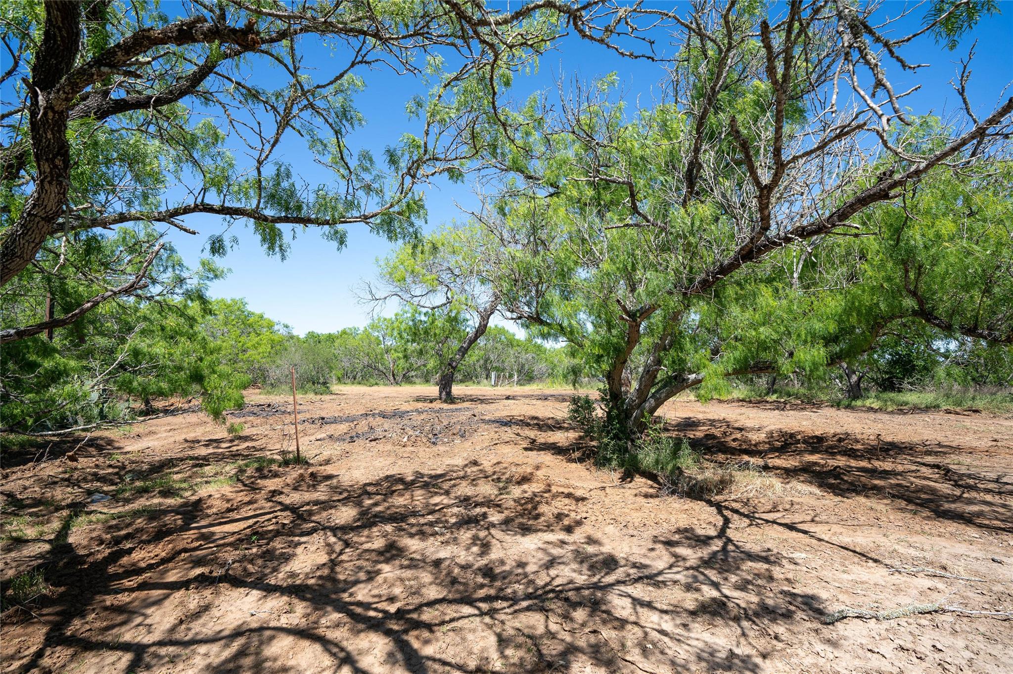 TBD County Rd 171 Rd, Nixon, TX 78140