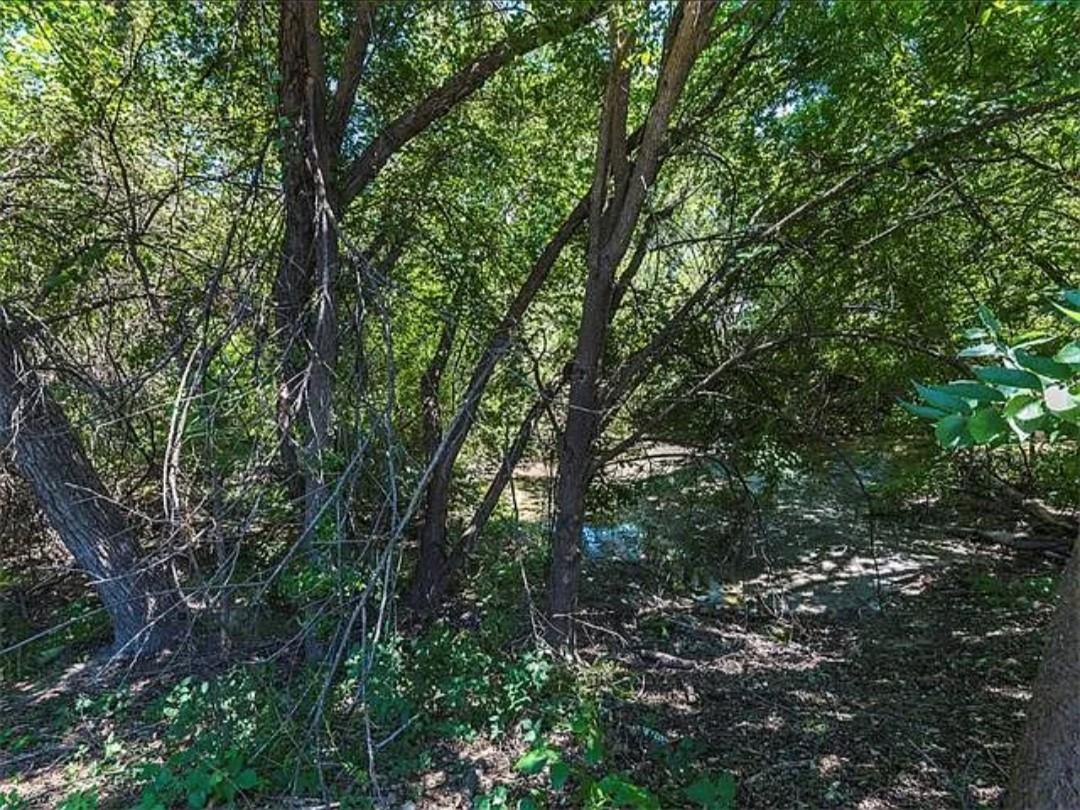 16303 Ascent Cv, Pflugerville, TX 78660