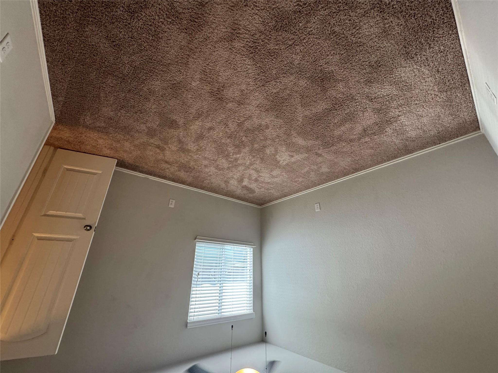 125 Windfield Path, San Marcos, TX 78666