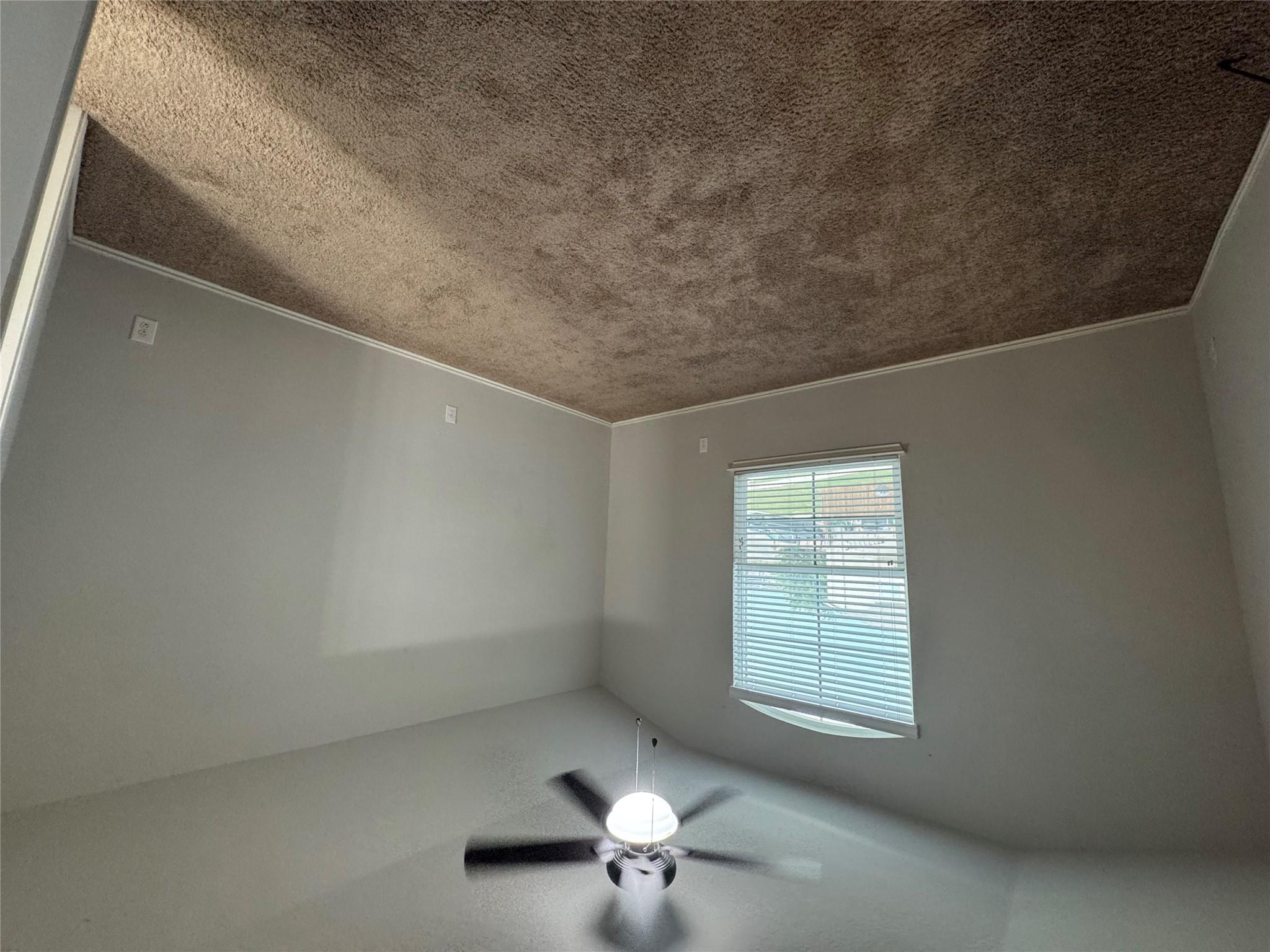 125 Windfield Path, San Marcos, TX 78666