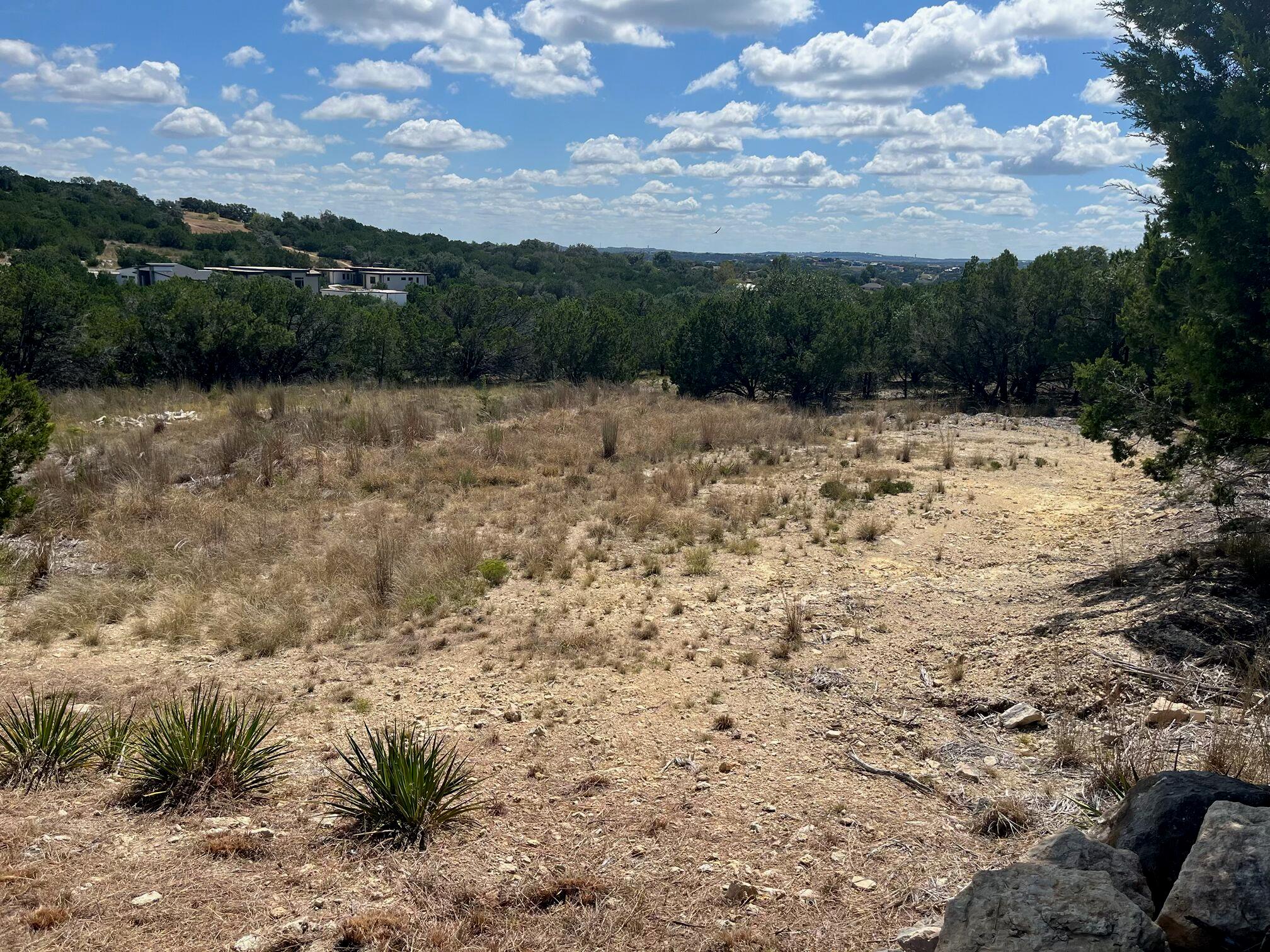 20705 Hayes Cv, Lago Vista, TX 78645