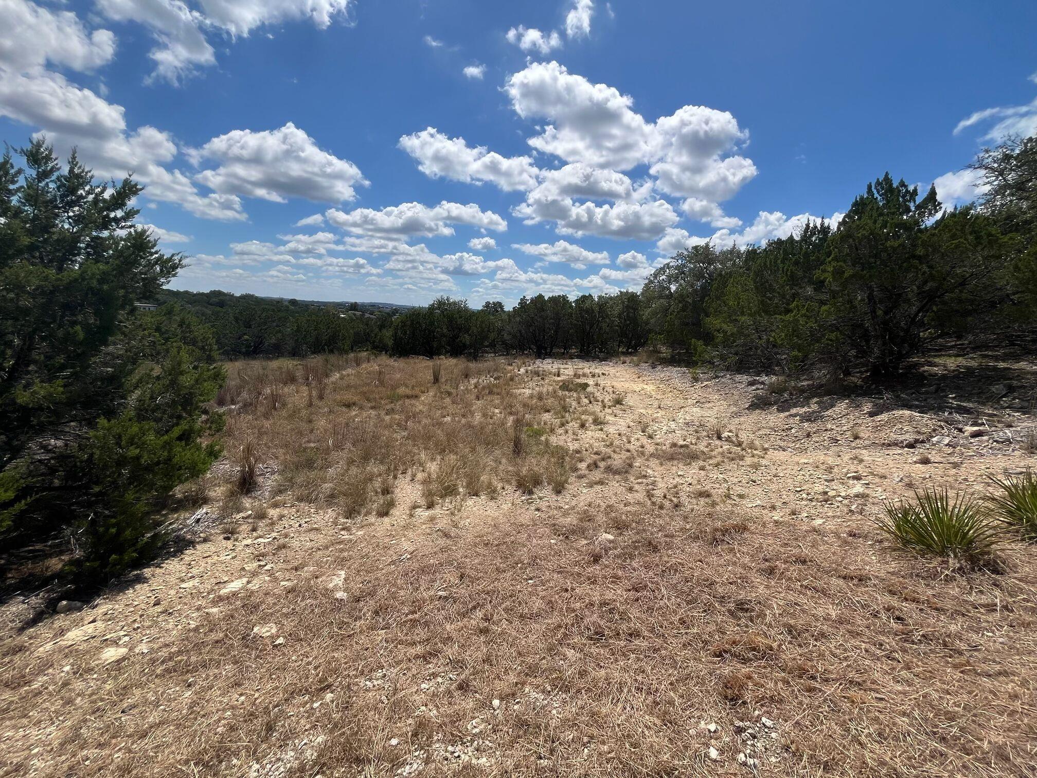 20705 Hayes Cv, Lago Vista, TX 78645