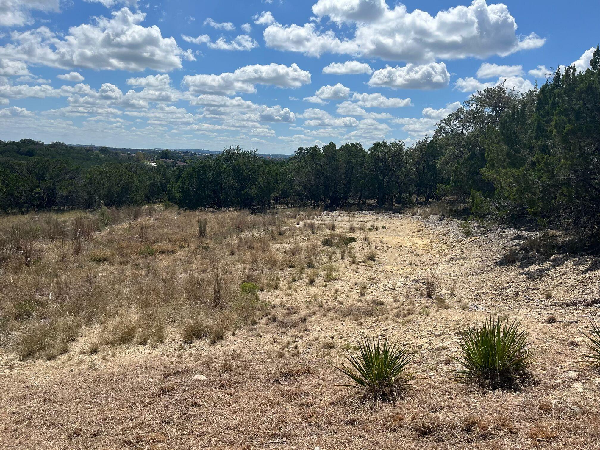 20705 Hayes Cv, Lago Vista, TX 78645