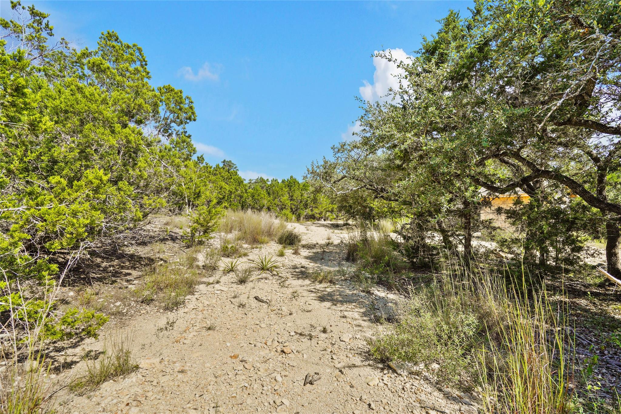 742 Banfield Pass Ave, Bulverde, TX 78163