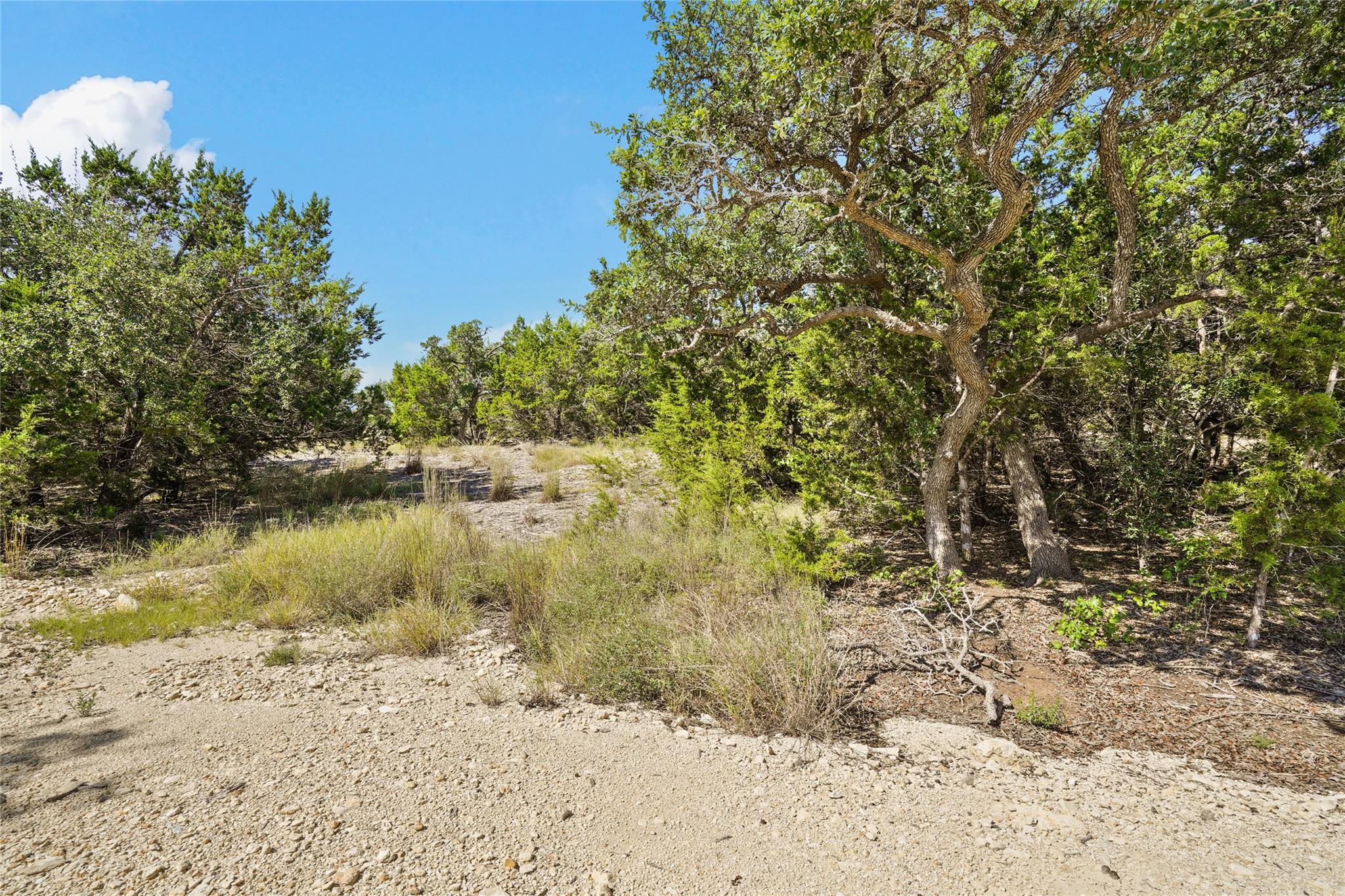 742 Banfield Pass Ave, Bulverde, TX 78163