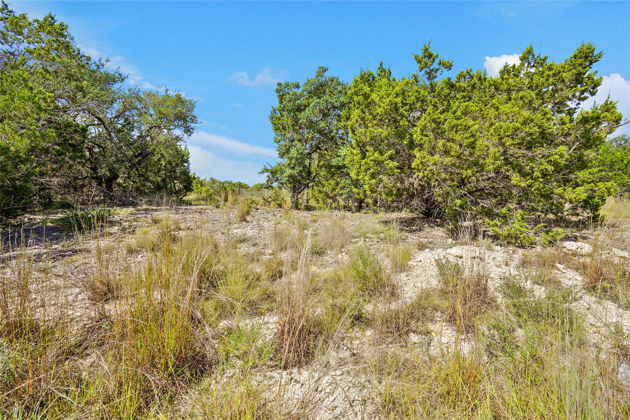 742 Banfield Pass Ave, Bulverde, TX 78163