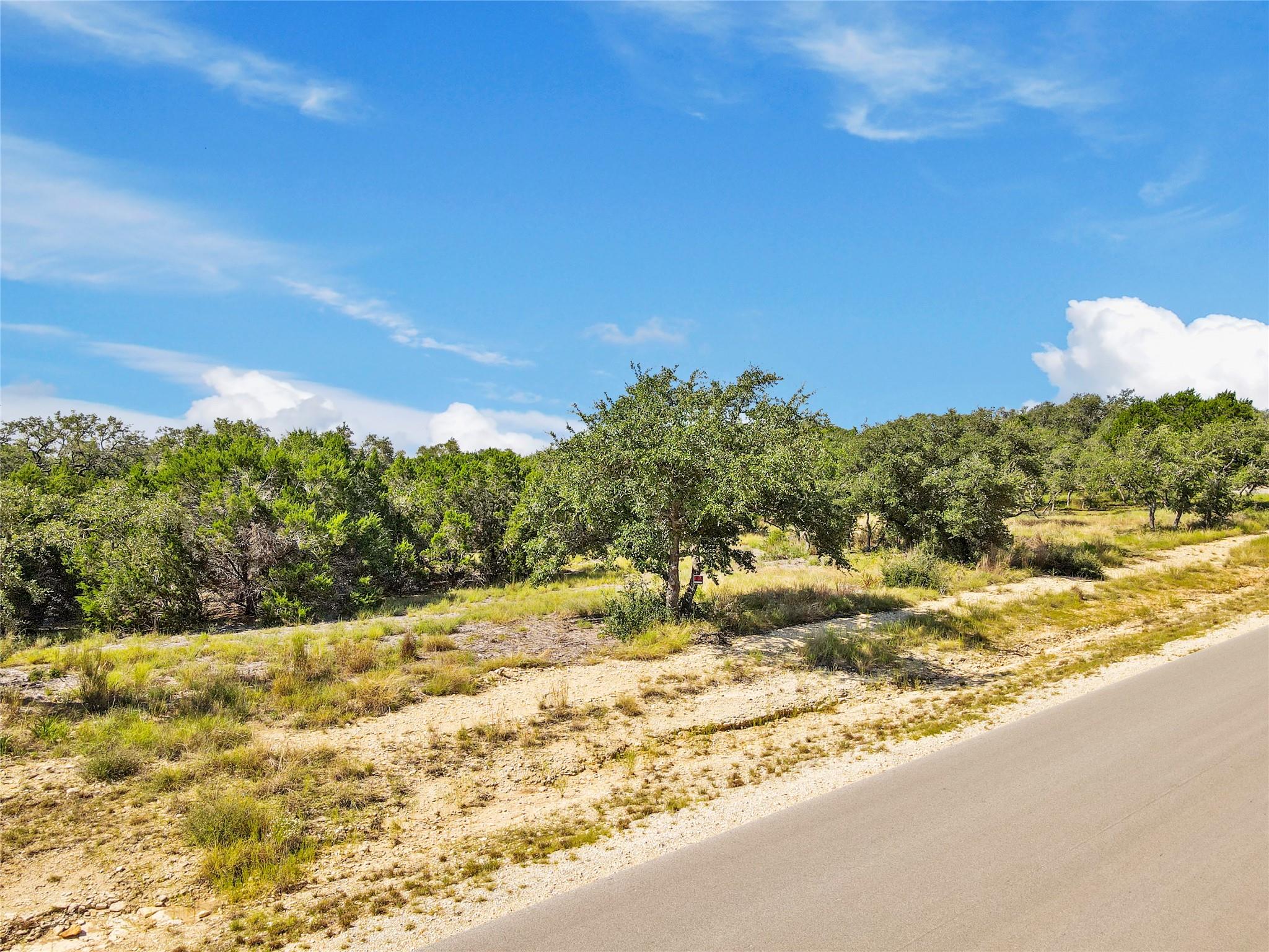 742 Banfield Pass Ave, Bulverde, TX 78163