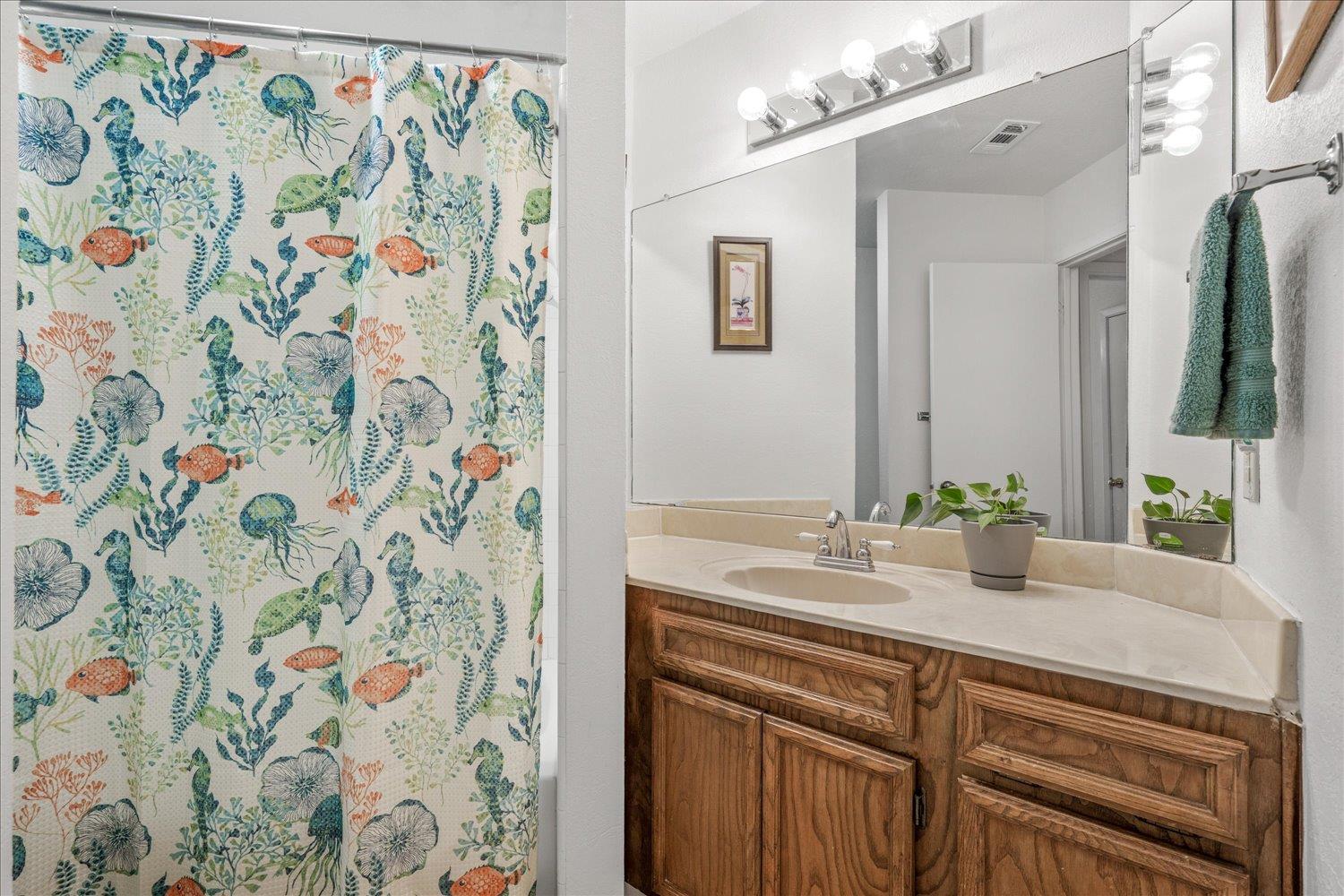 1204 Peachtree Valley Dr, Round Rock, TX 78681