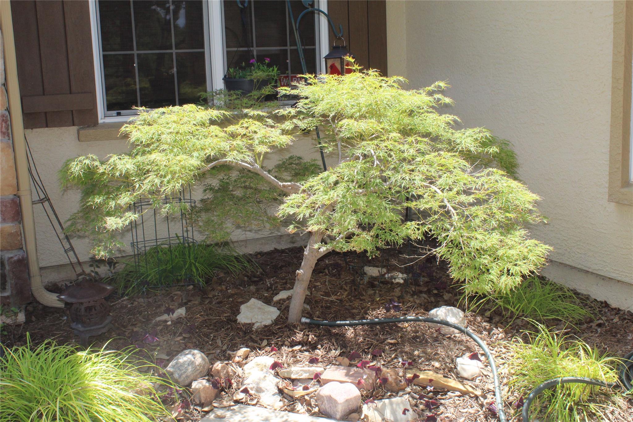 503 Dawson Trl, Georgetown, TX 78633