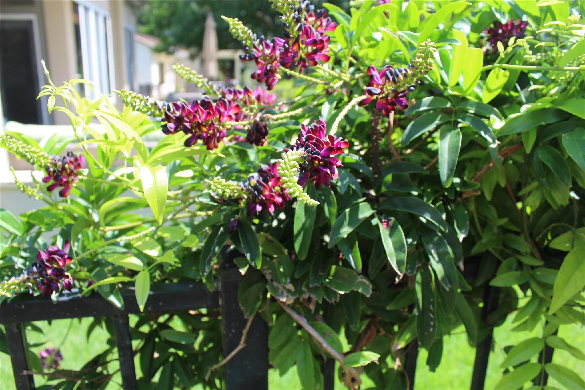 503 Dawson Trl, Georgetown, TX 78633