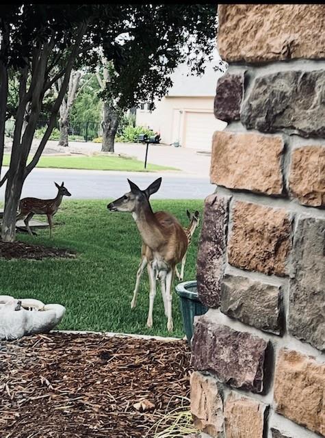 503 Dawson Trl, Georgetown, TX 78633