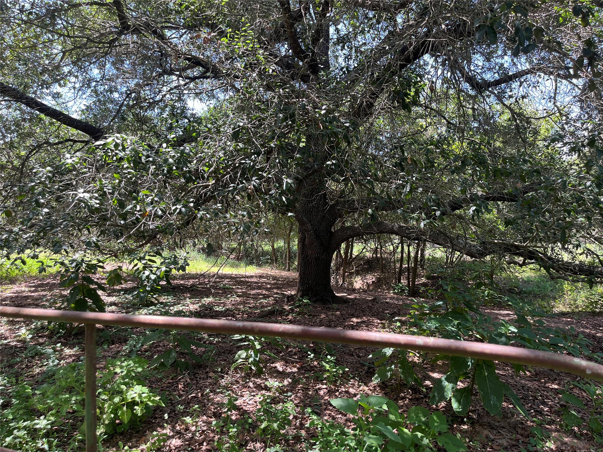 354 Lower Red Rock Rd, Bastrop, TX 78602