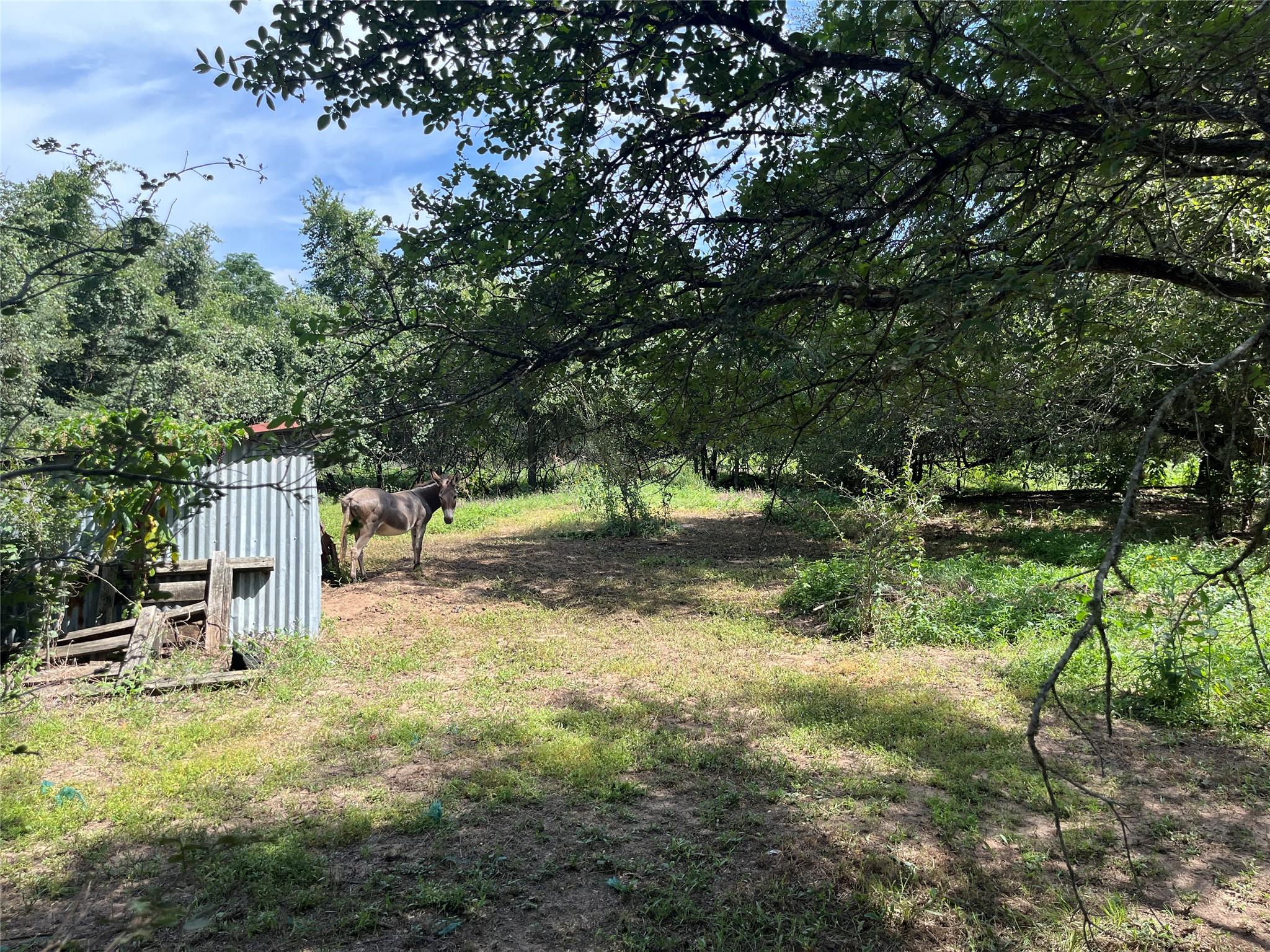 354 Lower Red Rock Rd, Bastrop, TX 78602