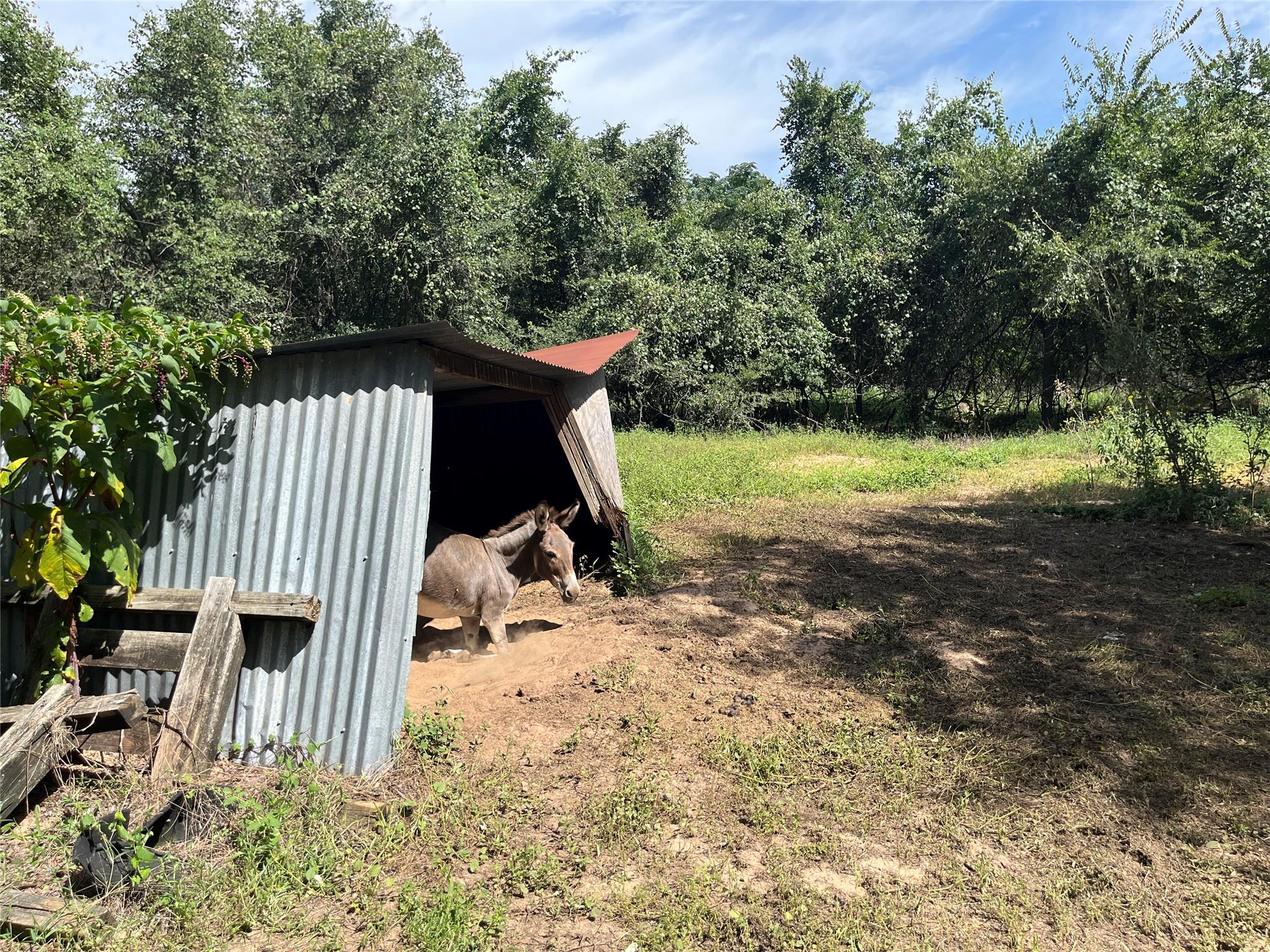 354 Lower Red Rock Rd, Bastrop, TX 78602