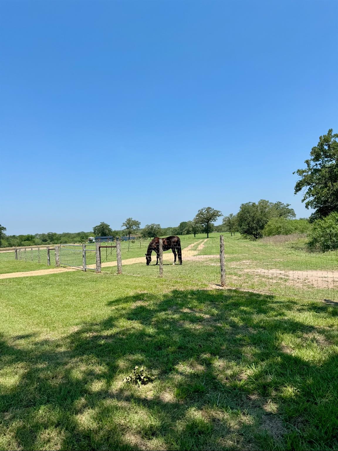 3389 Sparta Field Rd, Waelder, TX 78959