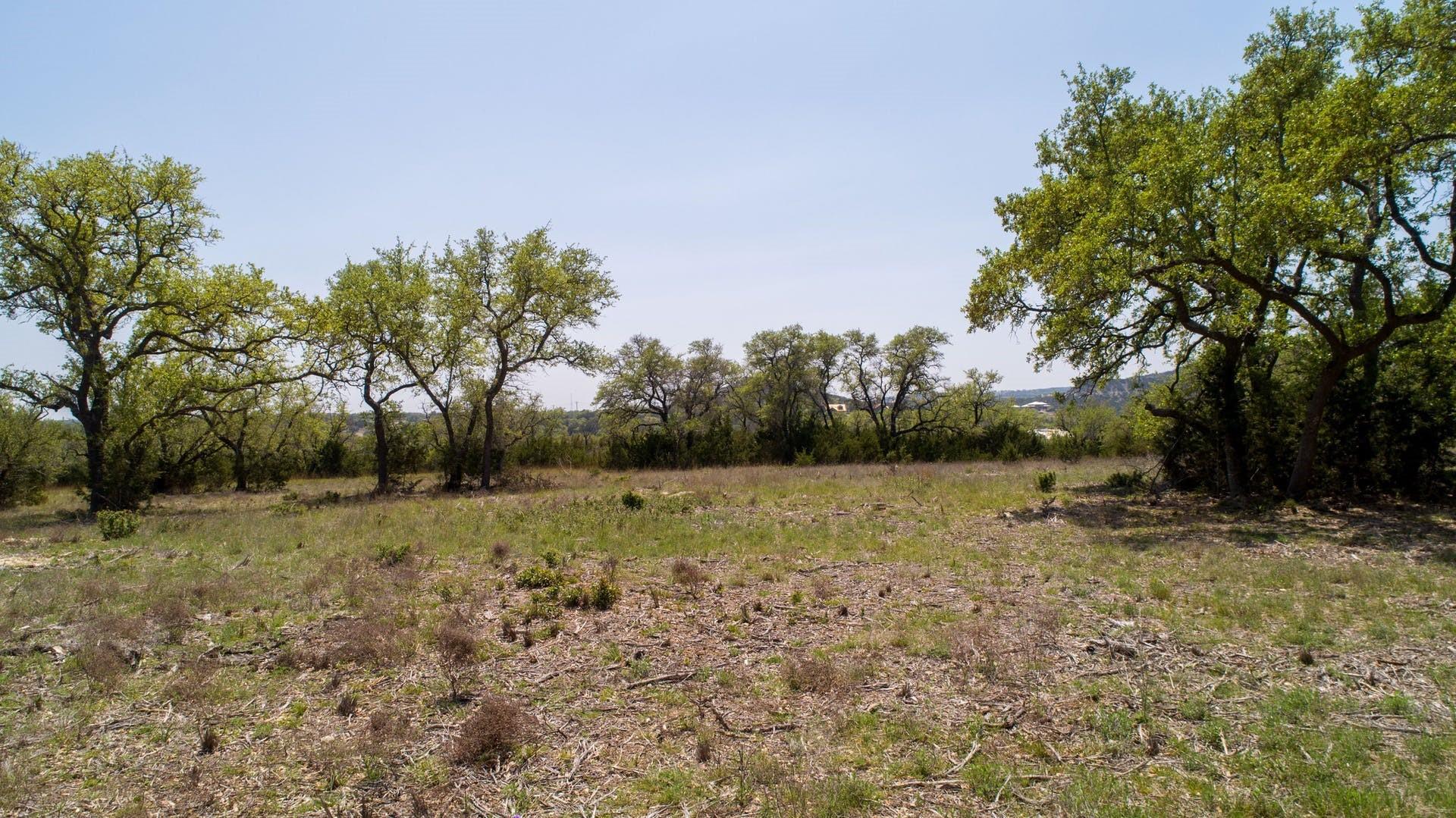 101 Bluff Ridge Trl, Blanco, TX 78606