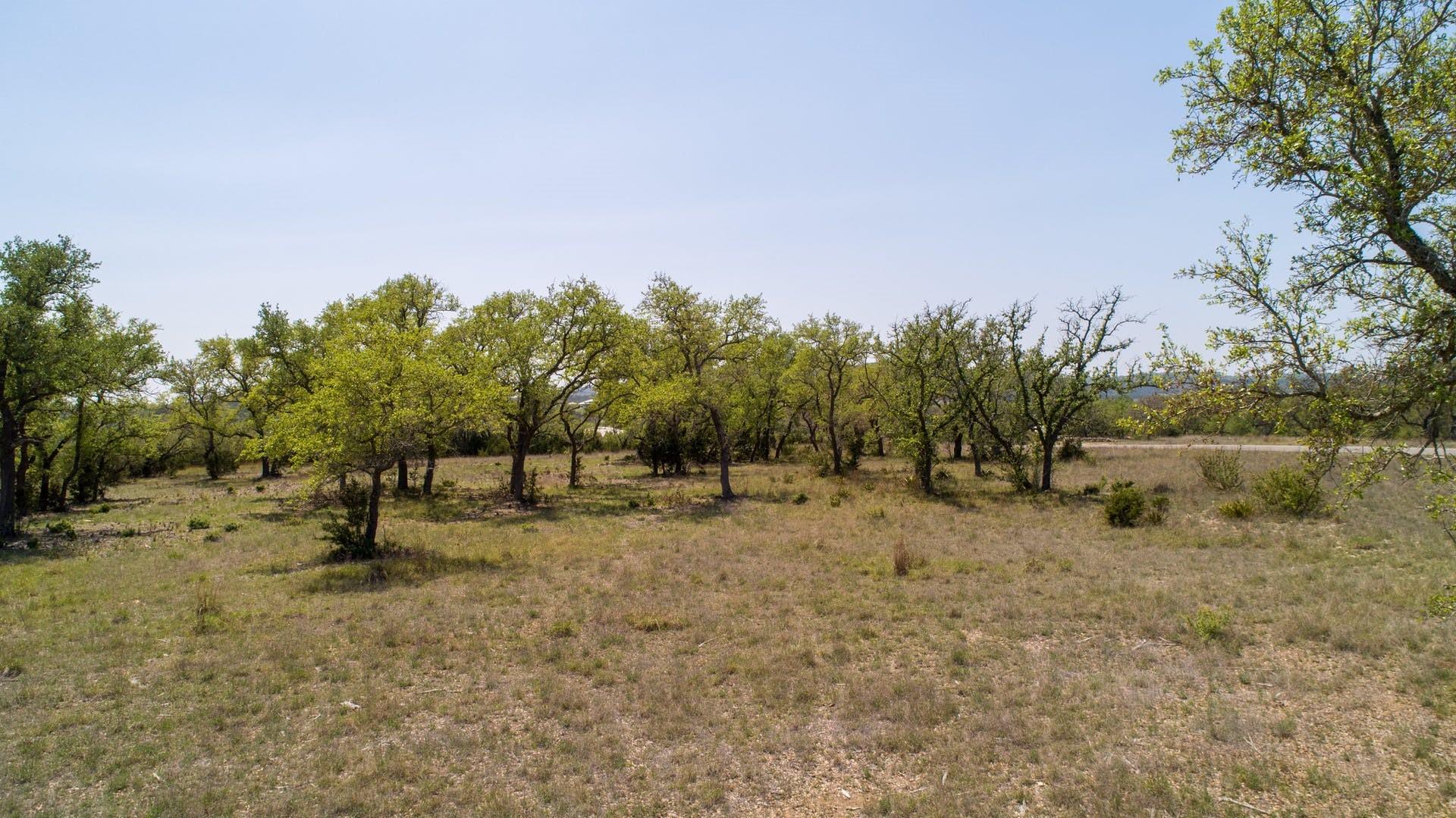 101 Bluff Ridge Trl, Blanco, TX 78606