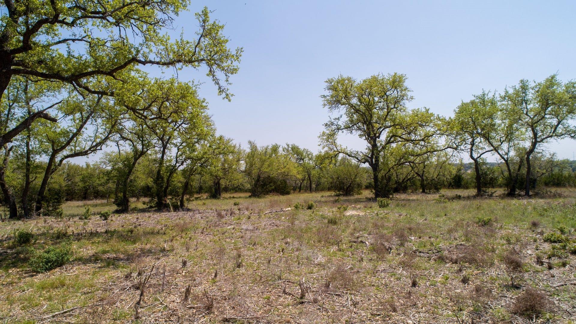 101 Bluff Ridge Trl, Blanco, TX 78606