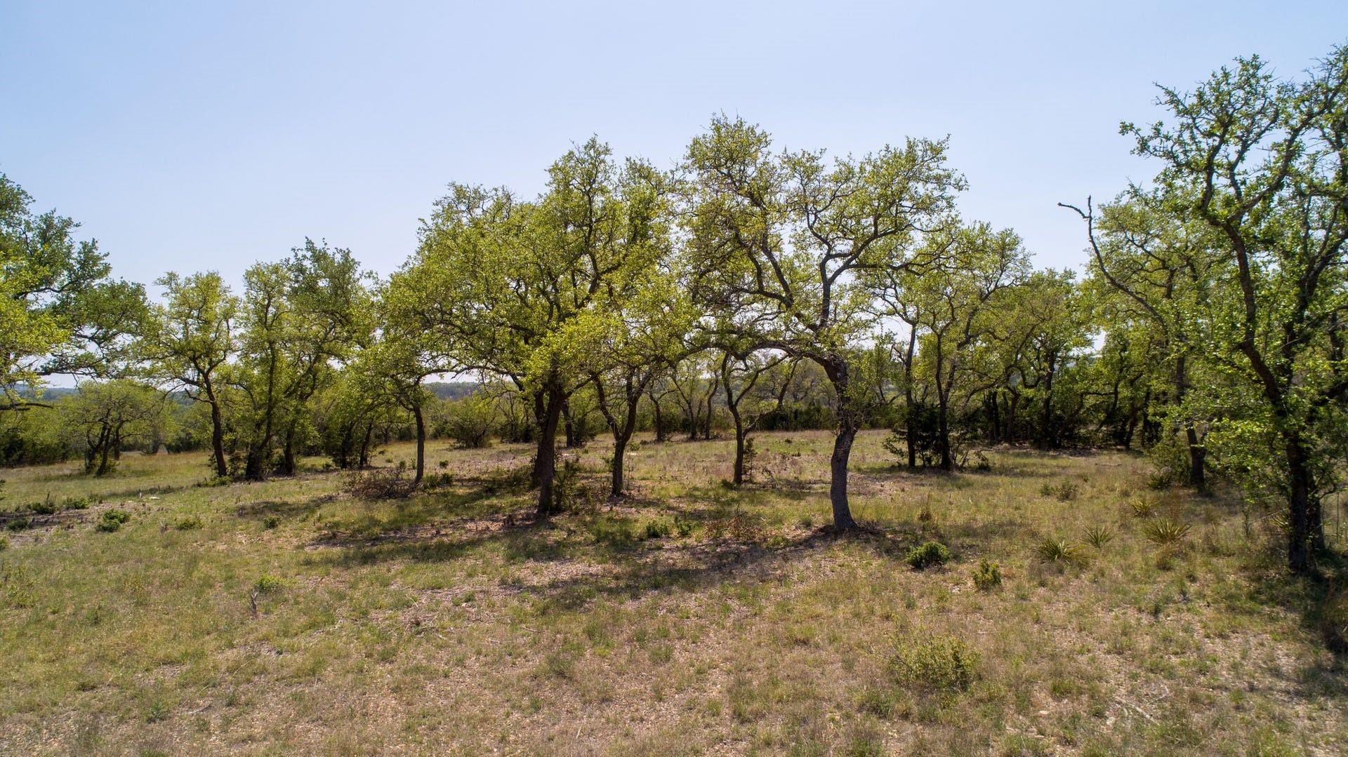 101 Bluff Ridge Trl, Blanco, TX 78606